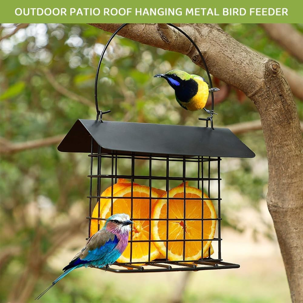 HYAVIA 2PCS Metal Suet Bird Feeder for outside &ndash; Hanging Rainproof Squirrel-Proof Cage, Holds Single Suet Cake, Attracts Finches, Tits, Robins, Ideal for Garden, Yard, Office image number 1