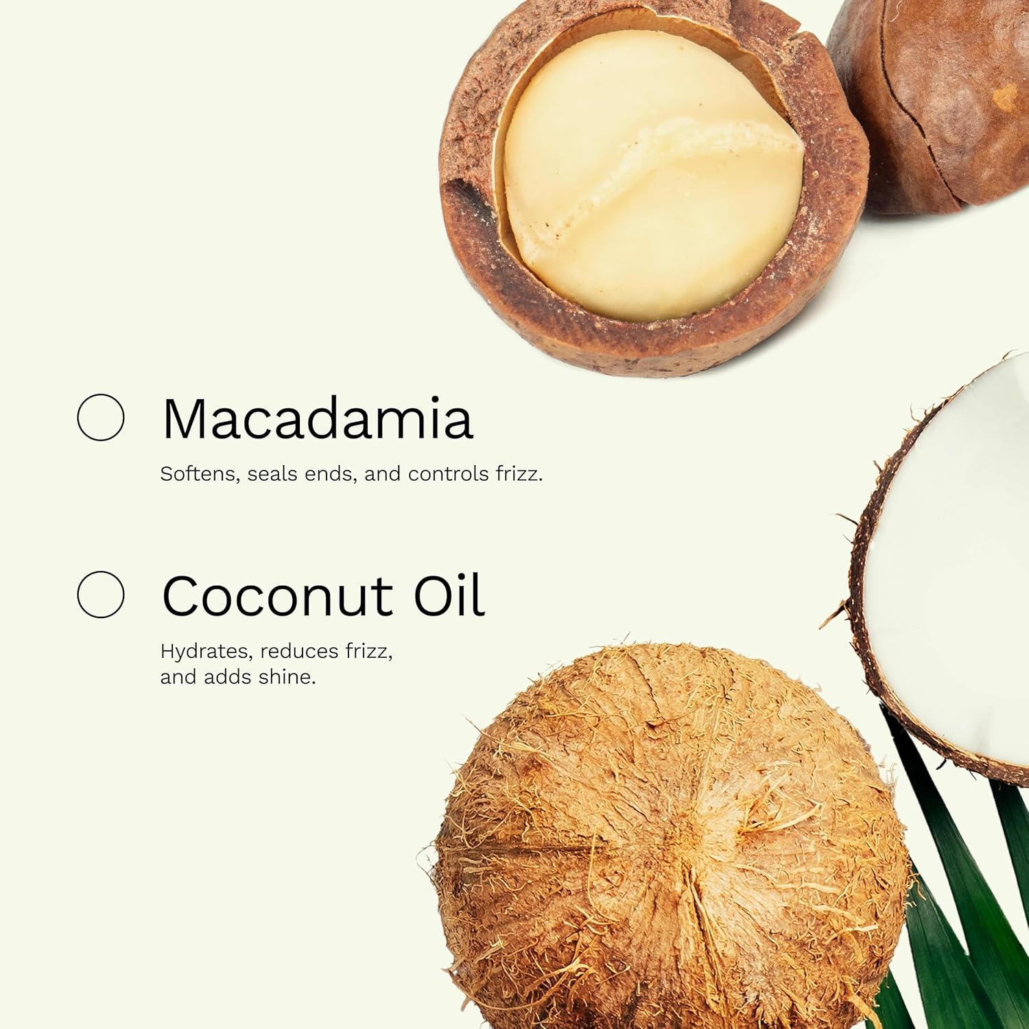 Ginger Root Extract | Hair Oil anti Frizz for All Hair Types | Seals Split Ends and Strengthens the Hair Structure image number 2