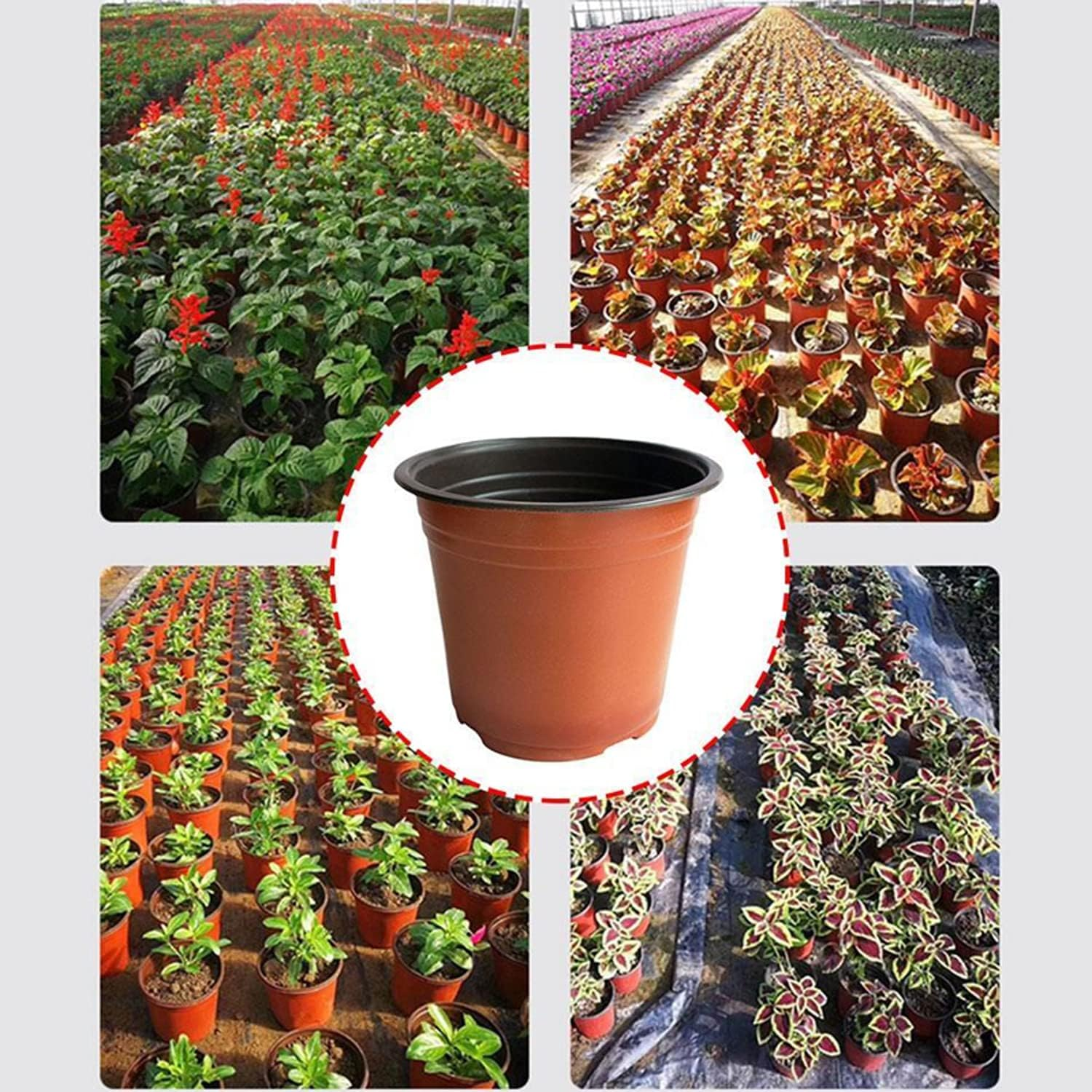 Yotsuba Plastic Plant Flower Garden Pots, 100 Pcs Nursery Seedlings Pot Growing Container image number 2