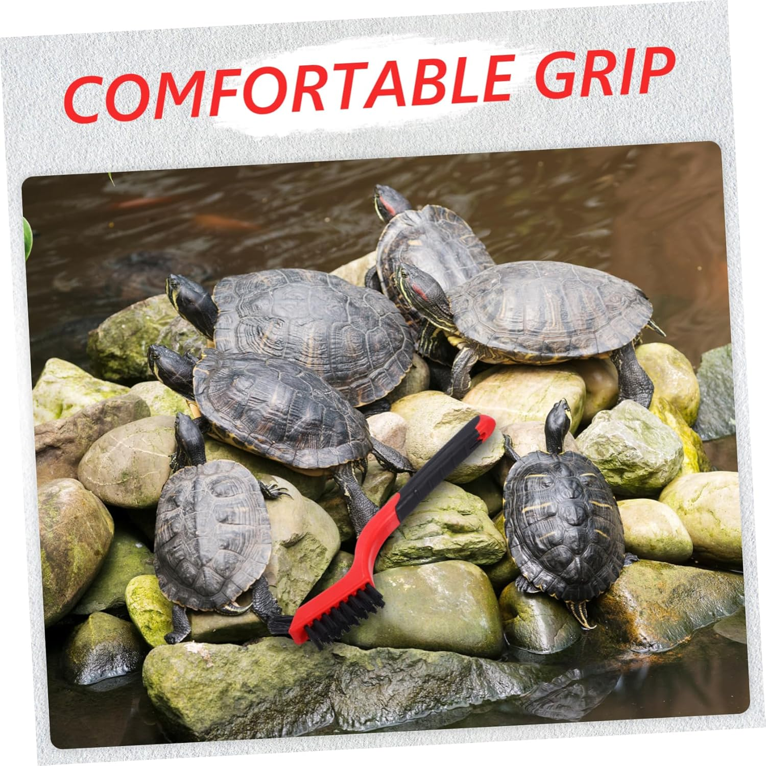 Kisangel 6Pcs Aquatic Tortoise Shell Cleaning Brush Nylon Aquarium Accessories Turtle Tool Water Turtle Scrub Brushes for Pets image number 1