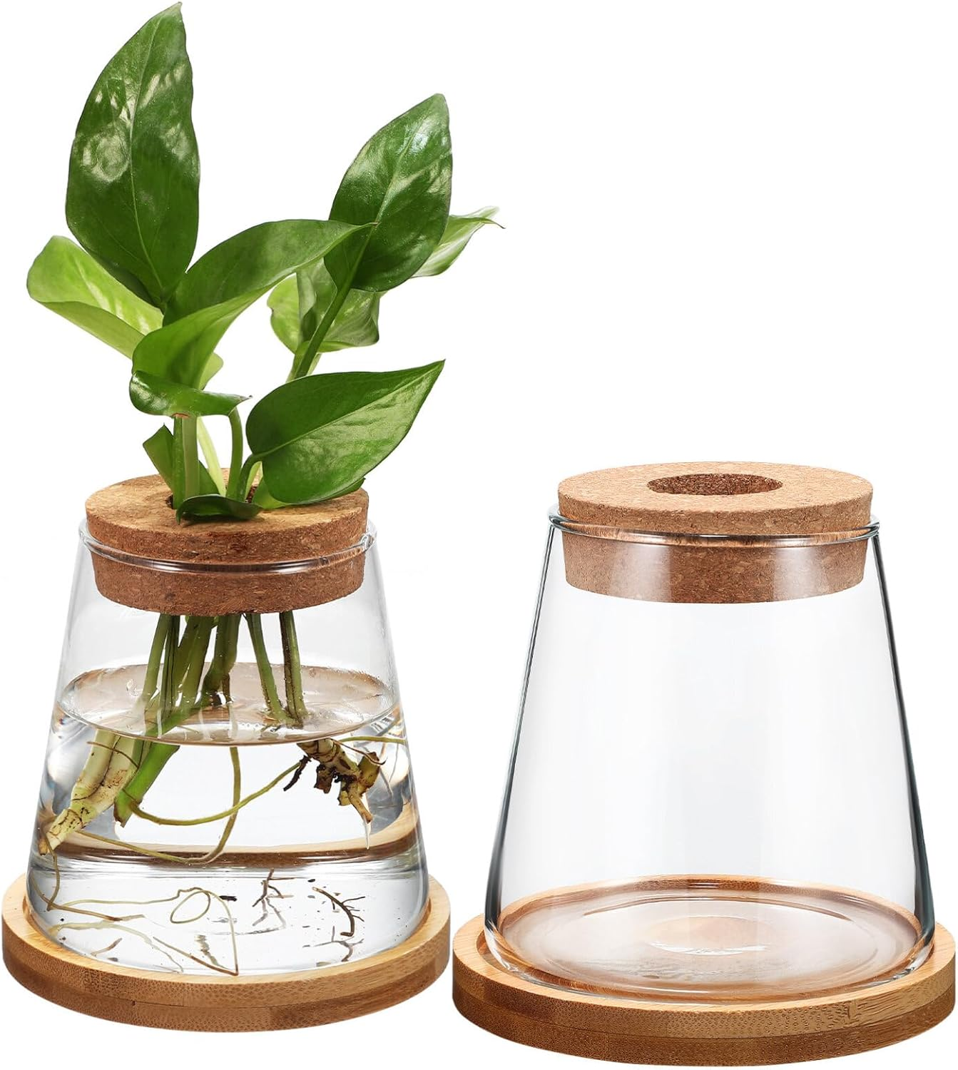 TOVINANNA 2Pcs Hydroponic Plants Terrarium with Cork Stopper and Base Glass Propagation Jars for Indoor Greenery Decor Elegant Water for Home Centerpiece image number 4