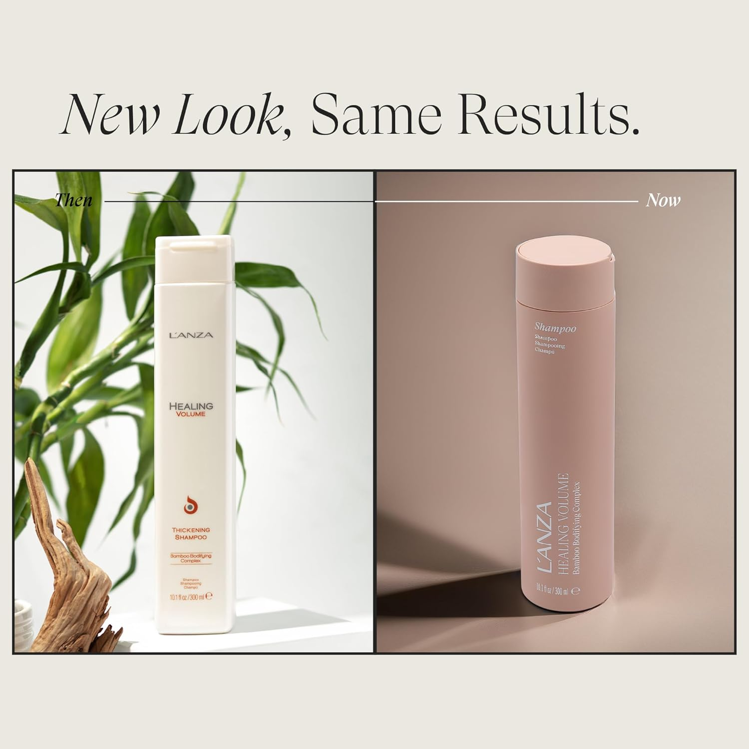 L'ANZA Healing Volume Thickening Shampoo (300 Ml), Gives Fine and Flat Hair Shine, Volume and Density, Rich in Bamboo Bodifying Complex and Keratin, Volume Shampoo image number 2