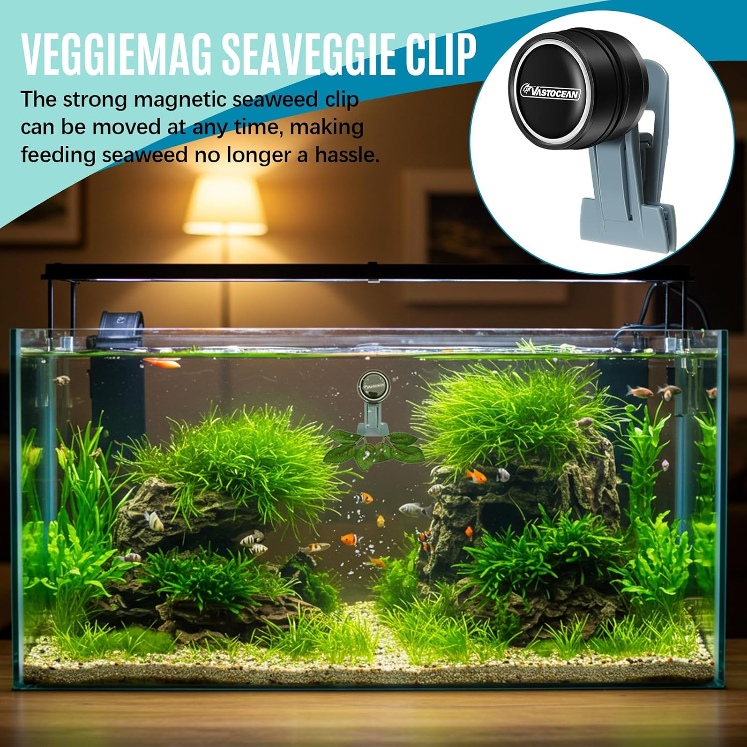 Blulu 4 Pcs Magnetic Seaweed Feeding Clips Saltwater Aquarium Tank Accessories Algae Magnet Seaweed Feeder for Fish and Aquatic Pets, Automatic Fish Feeder image number 5