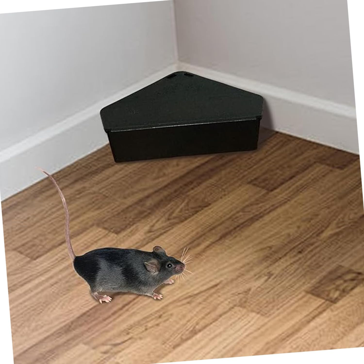 WEZCHUGHAOL Rodent Bait Station &ndash; 6Pcs Triangular Mouse Trap with 6 Keys (Black PP, Indoor Use for Home, Restaurant, Hotel) image number 1