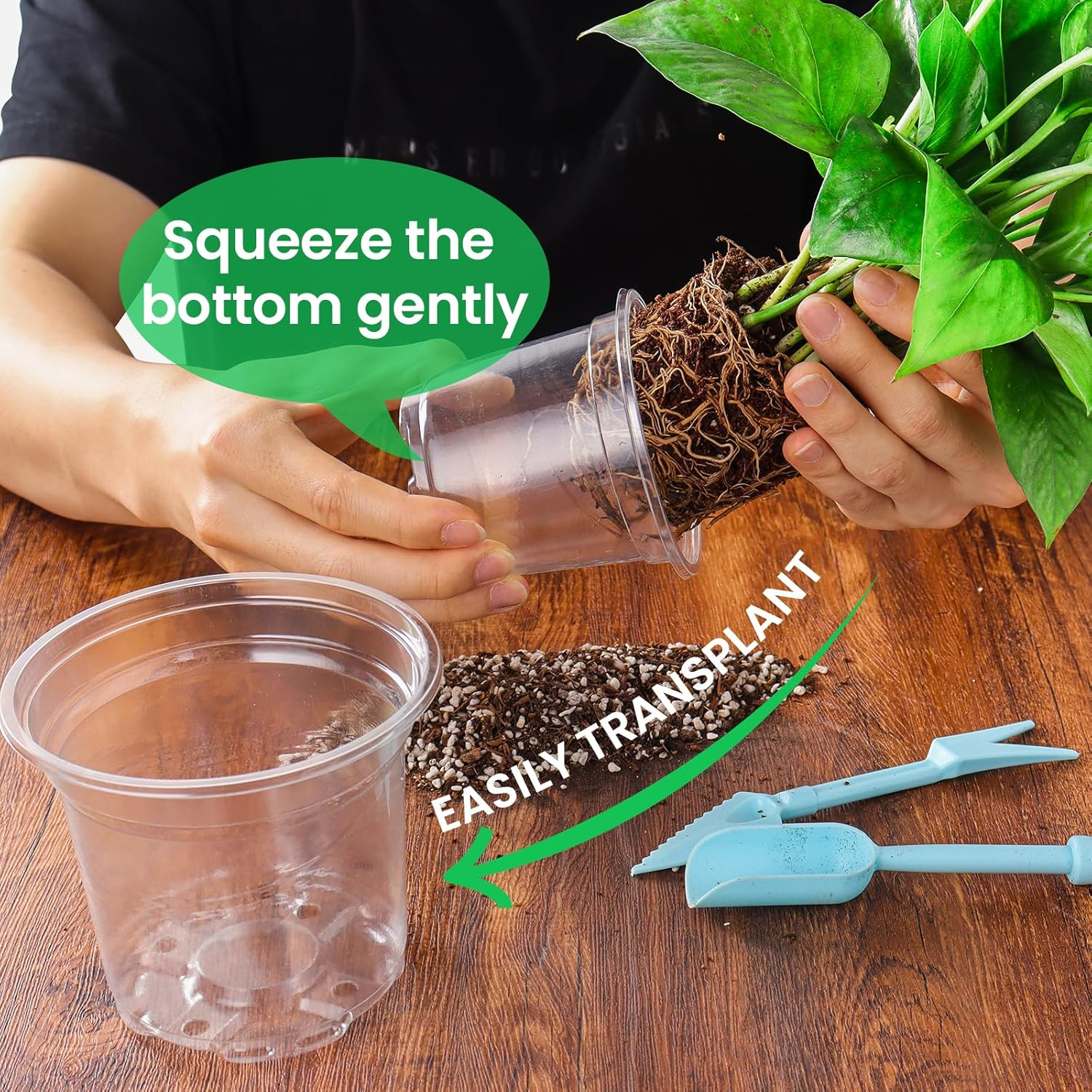 Bluepro 36 Packs 5/4/3.5 Inch Reinforced Clear Nursery Pots with Drainage Hole, Transparent Variety Pack Plastic Plant Pot Seedling Planter Seed Starter Flower image number 4