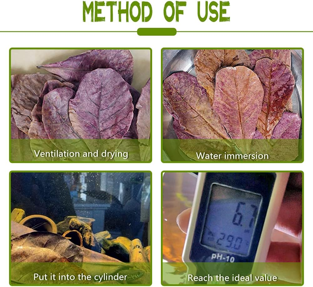 Leonbach 100 Pcs Large Catappa for Fish,5-8 Inch 250G Indian Almond Leaves Creates Native Environment,Catappa Leaves Beta Fish Leaf for Aquarium Shrimp Tank Decorations Water Conditioner image number 3