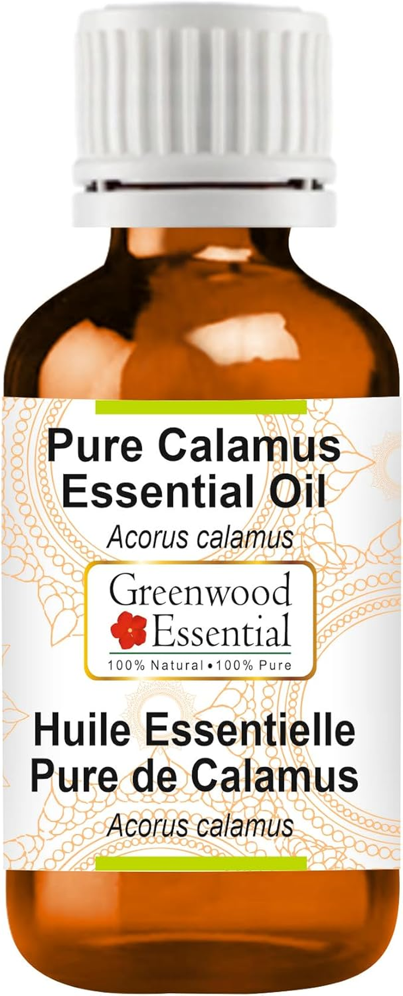 Greenwood Essential Pure Calamus Essential Oil (Acorus Calamus) Steam Distilled for Personal Care 10Ml (0.33Oz) image number 3