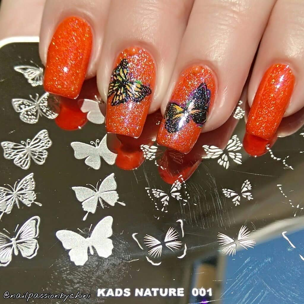 Alexnailart Nail Stamping Plate Butterfly Nail Art Stamp Template DIY Image Template Manicure Stamping Plate Stencil Tools (NA001) image number 3