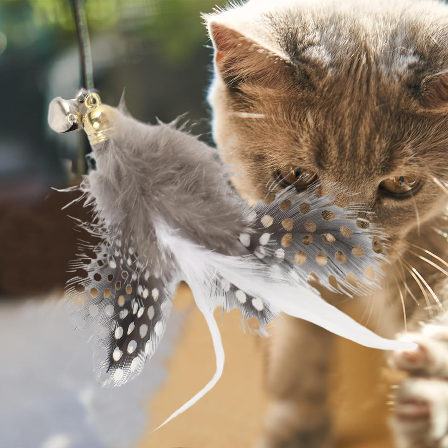 CAPASTEC Pack of 2 Feather Cat Wand Replacement for Pet Interactive, Black/White image number 3