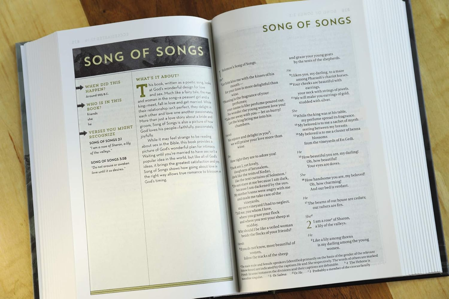 NIV Bible for Teen Guys: Building Faith, Wisdom and Strength image number 1