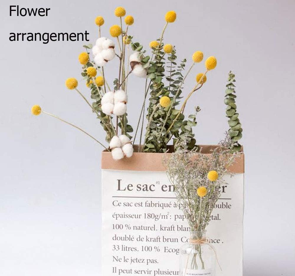 Tooget Natural Craspedia Dried Flowers Yellow Billy Buttons Balls Bouquet Bundles, Real Freshly Harvested Dry Plant Bunch Arrangements Decorate for Home Crafts, Party, Wedding, Store image number 6