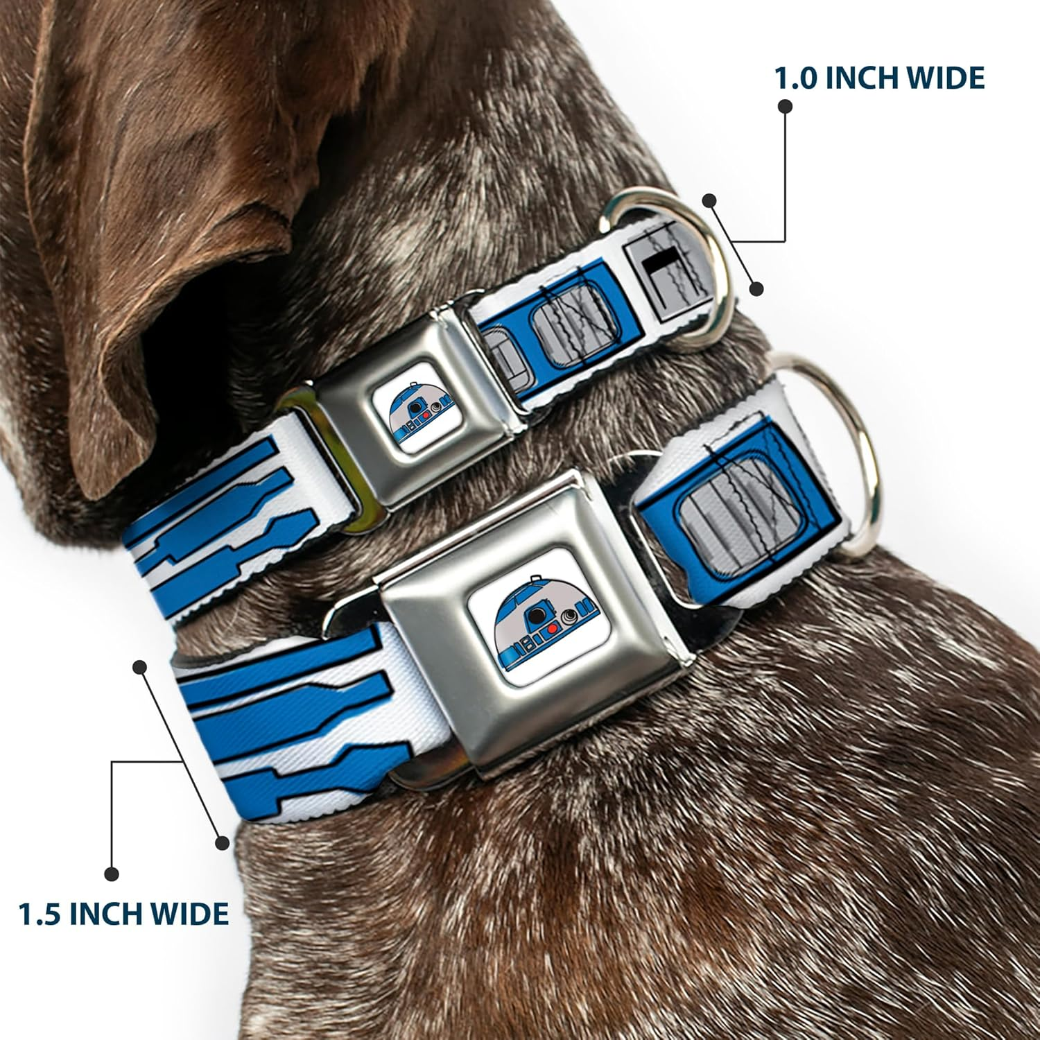 Dog Collar Seatbelt Buckle Star Wars R2D2 Bounding Parts White Black Blue Gray Red 15 to 26 Inches 1.0 Inch Wide image number 4