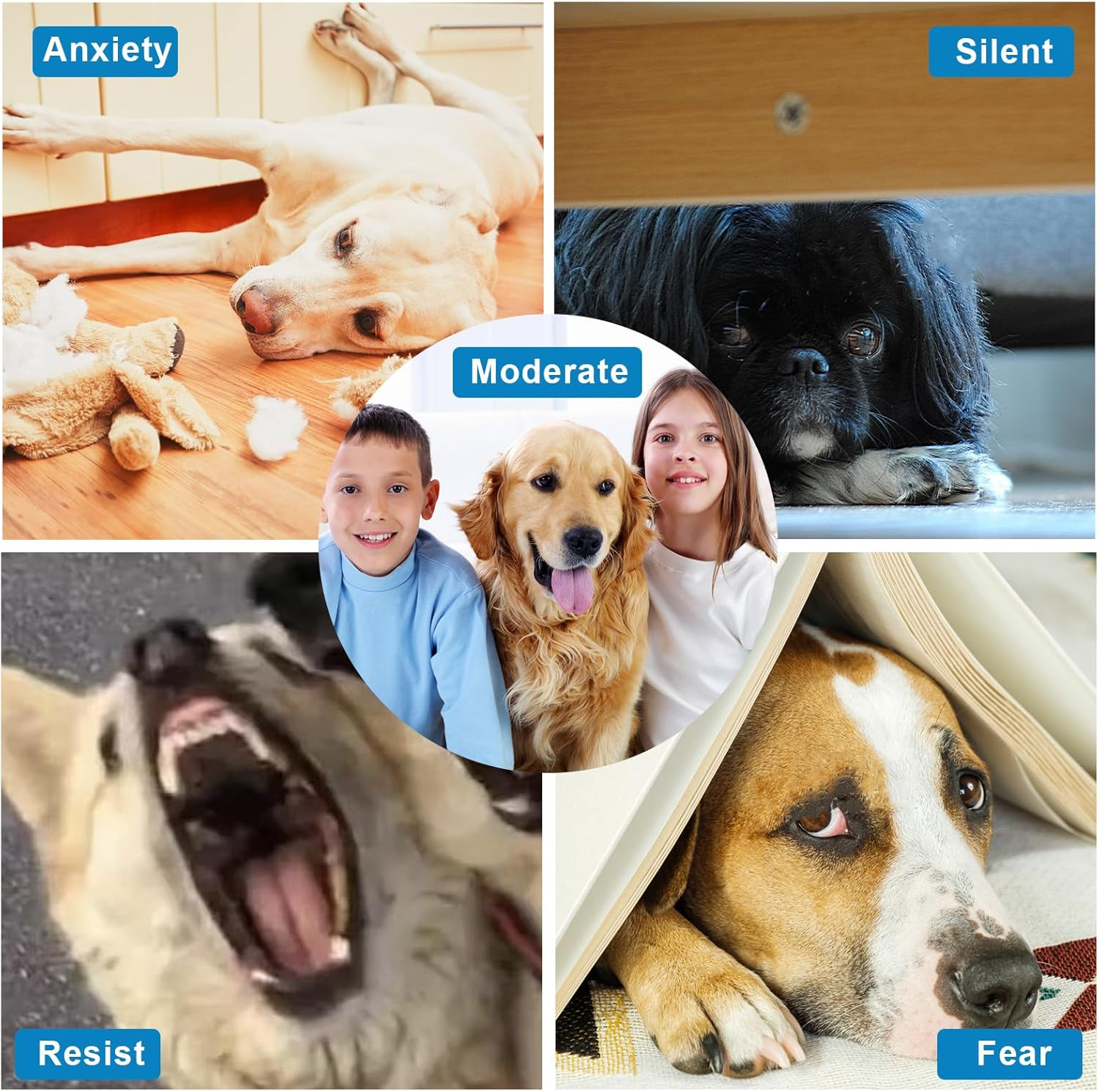 NQEUEPN Dog Scratch Pad for Nails, 3 in 1 round Rotatable Pet Nail Grinding Mat Slow Food Storage Box Fun Dog Nail File Board for Pets Gift Nail Care image number 3