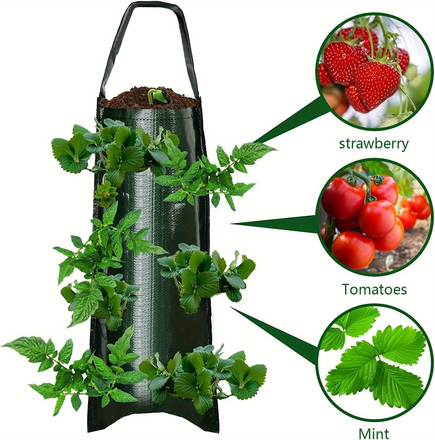 Upside down Strawberries Grow Bags,10 Pack Garden Hanging Strawberry Grow Bag, Hanging Strawberry Planter with Planting Pockets, Hanging Planter for Strawberries,Tomatoes, Chili, Herbs, Vegetables image number 1