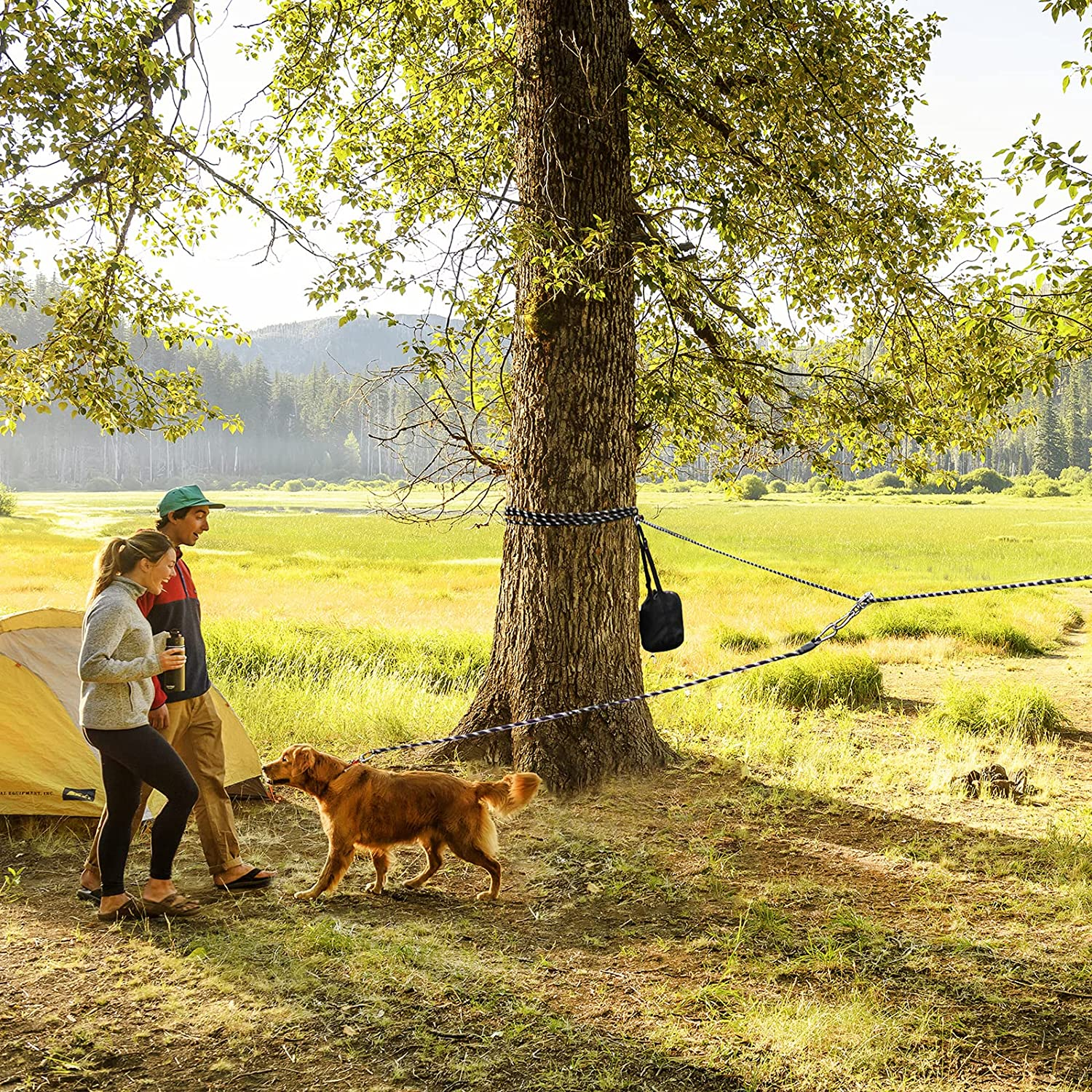Dog Camping Essentials,Tie Out Cable for Camping,50Ft Portable Trolley System with 10Ft Runner Lead for Dogs up to 200Lbs，Portable Reflective Dog Lead Line for Yard, Park and Outdoor (Blue) image number 3