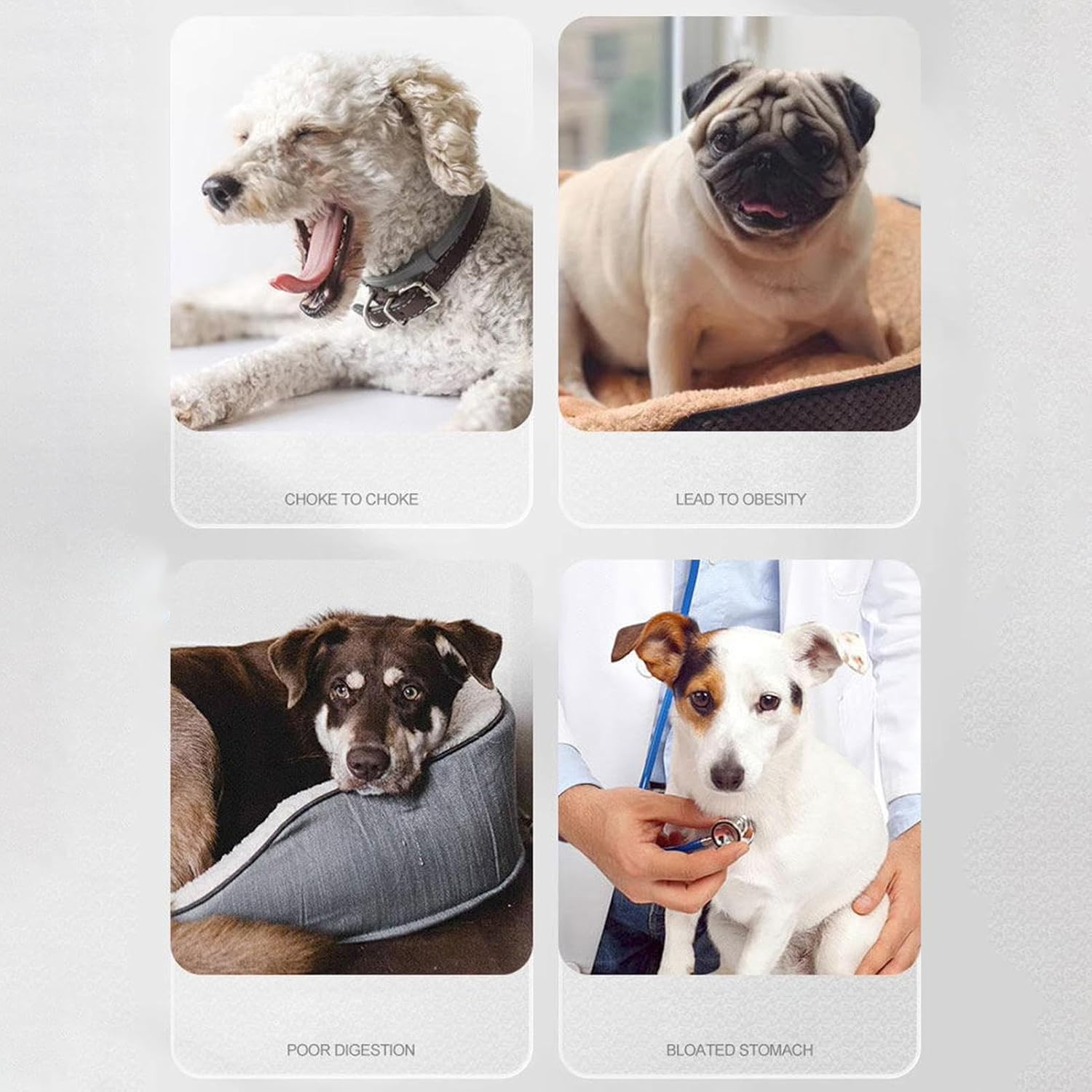 Silicone Pet Feeder | Pet Feeding Dividing Tray - Silicone Dog Bowl Dividing Tray, Pet Food Dividing Tray Anti-Scald, Anti-Slip, Divided Silicone for Pet, Cat image number 4