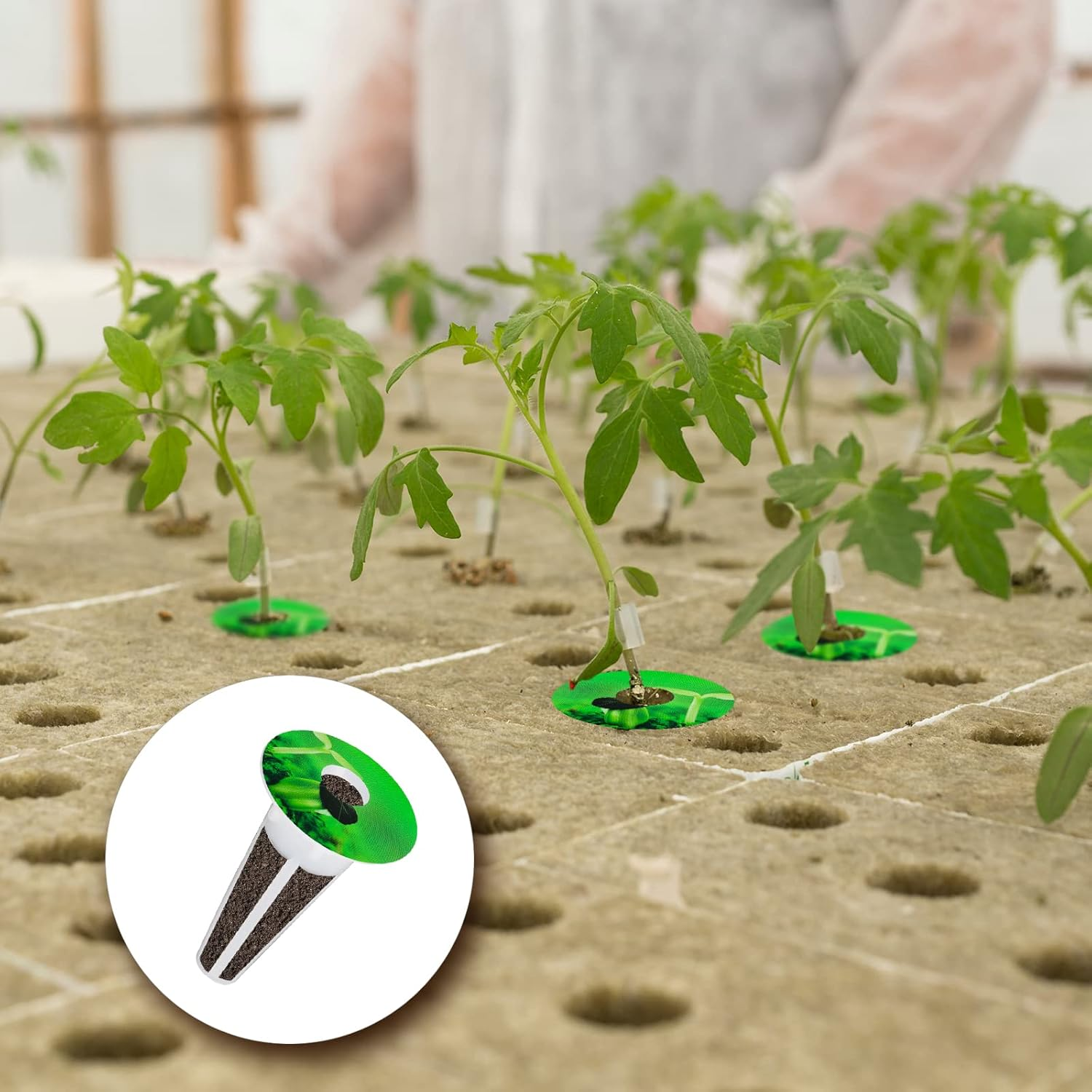 KINBOM 120Pcs Plant Grow Stickers, Grow Baskets Labels Hydroponic Plant Label for Seedlings Garden Pods Plant Labels for Labeling Plants and Understanding Plant Growth