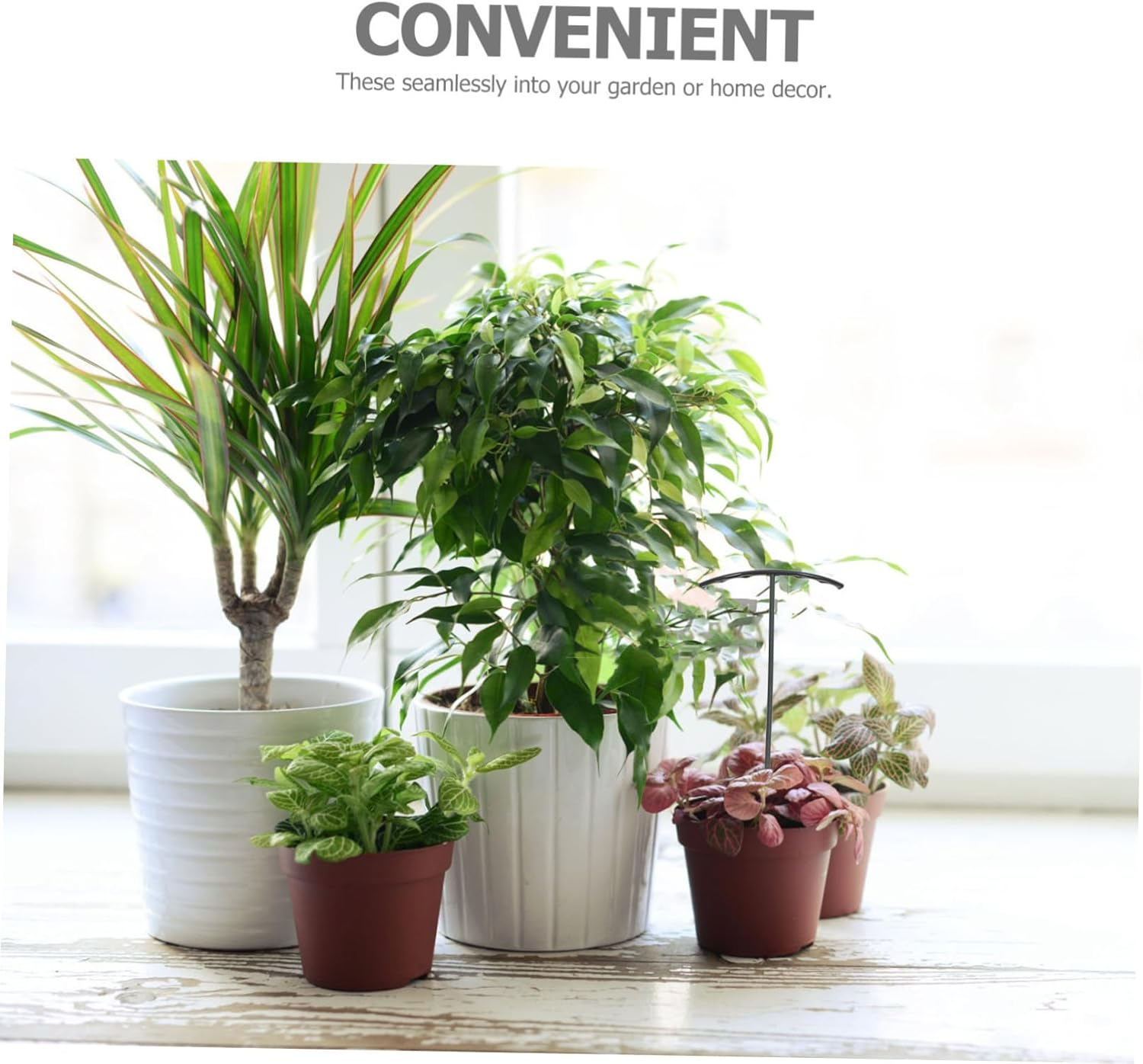 FONDOTIN Deep Green Plant Support Stakes for Garden Bed Monstera Plant Support Plastic Flower Stakes Clips Versatile Flower for Outdoor Gardening image number 2