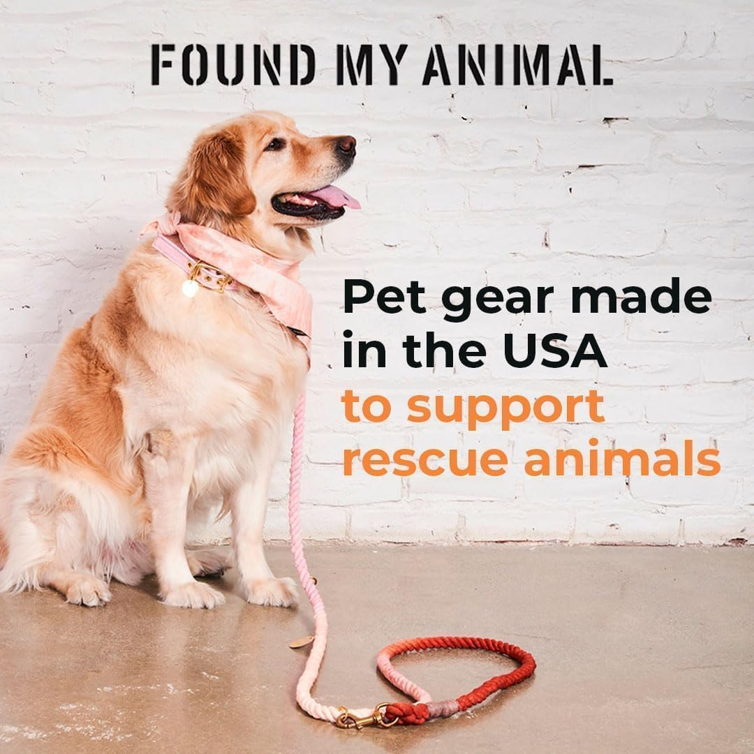 Found My Animal - Teal Ombre Cotton Rope Dog Leash, (Medium) - Heavy Duty Dog Training Leash - Adjustable Solid Brass Lockable Carabineers - Handcrafted Braided Dog Leash Rope - Made in USA image number 2