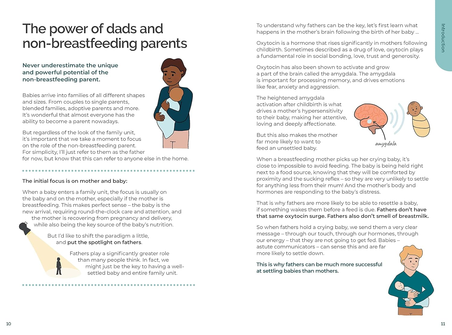 Your Baby Doesn'T Come with a Book: Dr Golly&rsquo;S Guide to the First Four Weeks of Parenthood: Volume 1 image number 5