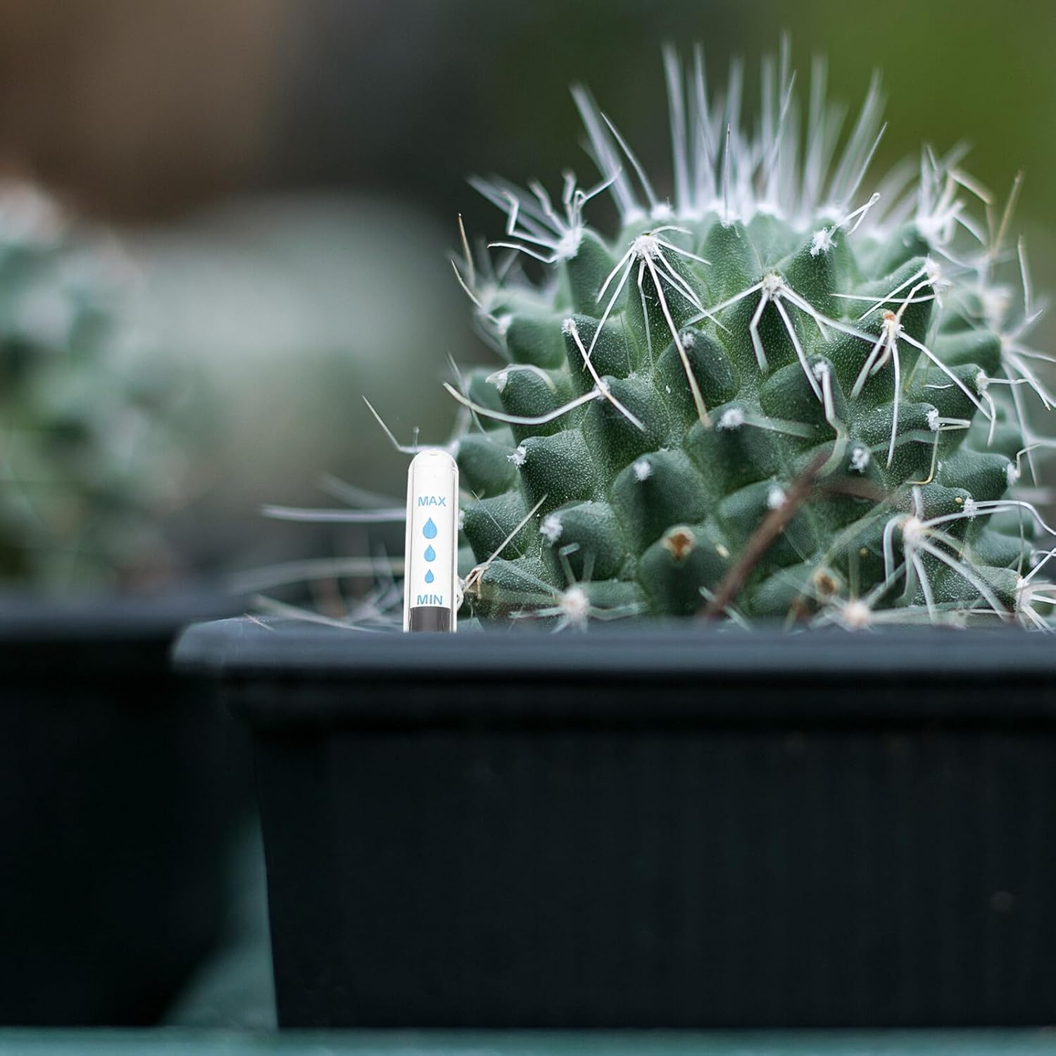 Bestonzon 4Pcs Flowerpot Water Level Indicators Floating Gauge with Clear Scale for Plant Moisture Monitoring and Water Shortage Reminder Easy Assembly for Potted Plants image number 1