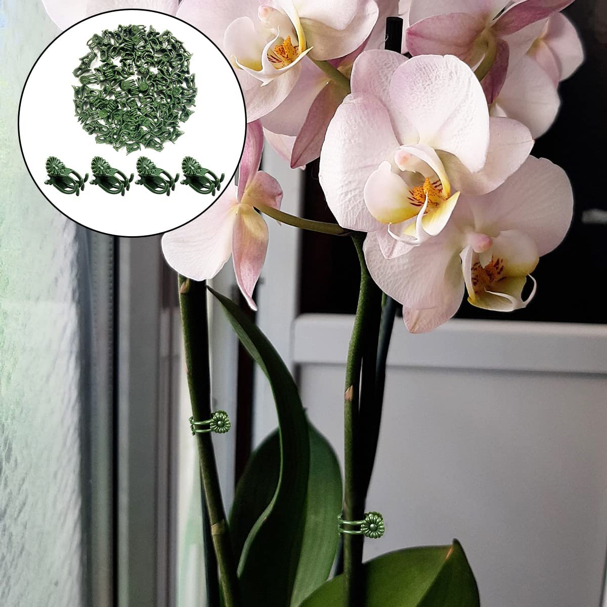 Plant Clips, 100PCS Orchid Support Clips for Supporting Stems Vines Grow Upright (Green) image number 3