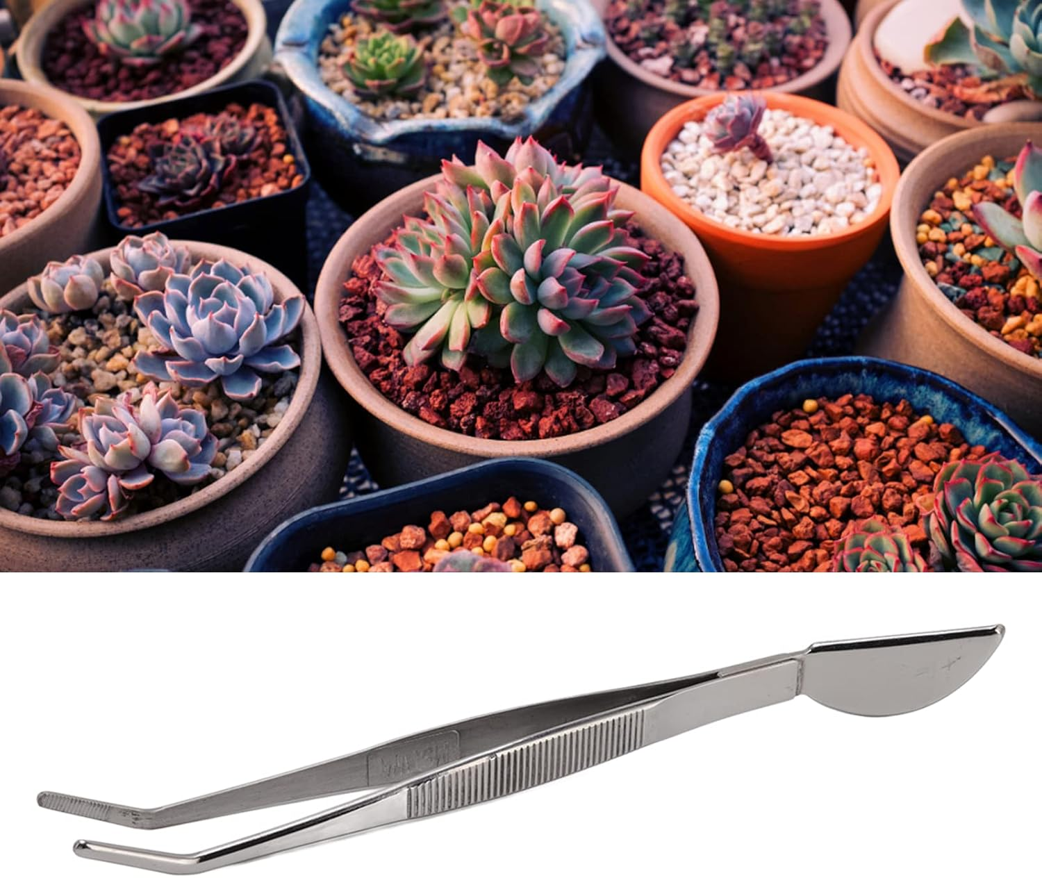 Stainless Steel Bonsai Tweezers, Ergonomical Design Bonsai Tweezers, Long Smooth Edges Surfaces Tweezers for Potted Loosening Soil Planing Grass (Bent) image number 5