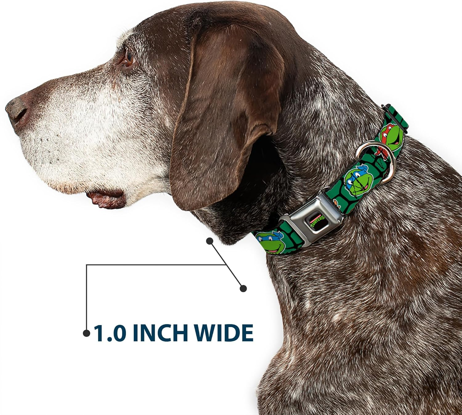 Buckle-Down Seatbelt Buckle Dog Collar - Classic TMNT Turtle Faces Black/Green Turtle Shell - 1" Wide - Fits 15-26" Neck - Large image number 4