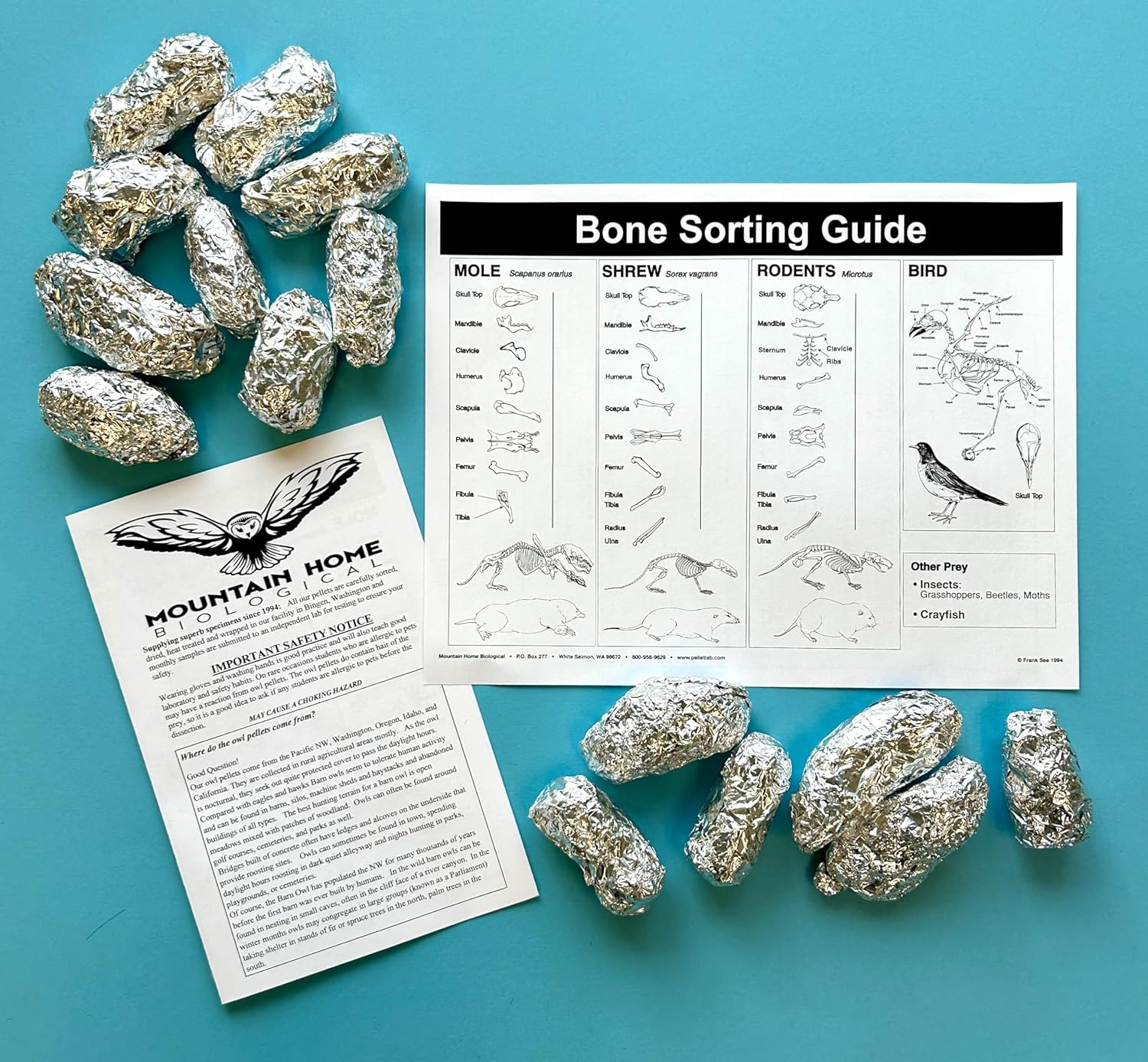 Extra Large Barn Owl Pellets, Pack of 15, with Bone Sorting Sheet image number 3