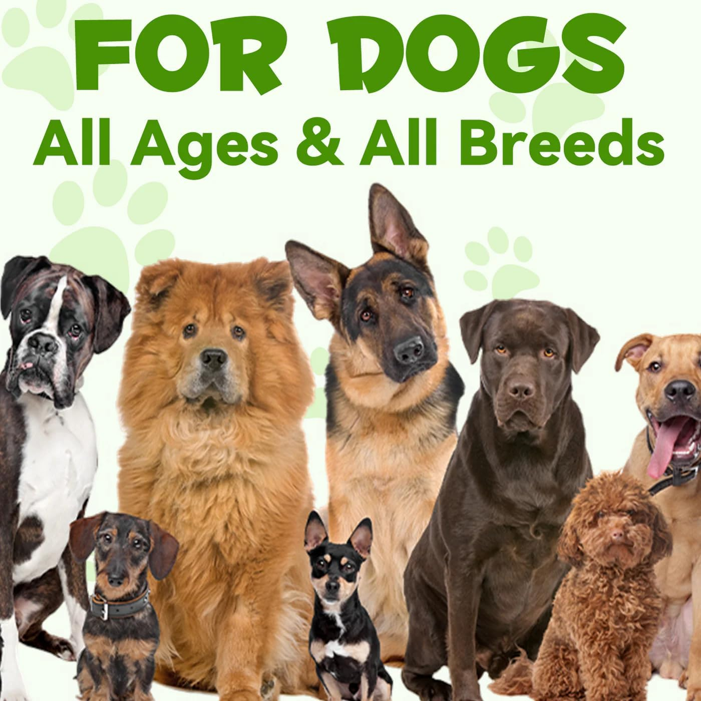 Probiotics for Dogs 60Ml | 3-In-1 Liquid Digestive Enzymes & Probiotic Supplement | Supports Gut Health, Digestion & Immunity | All Breeds & Ages | Bacon Flavour image number 5