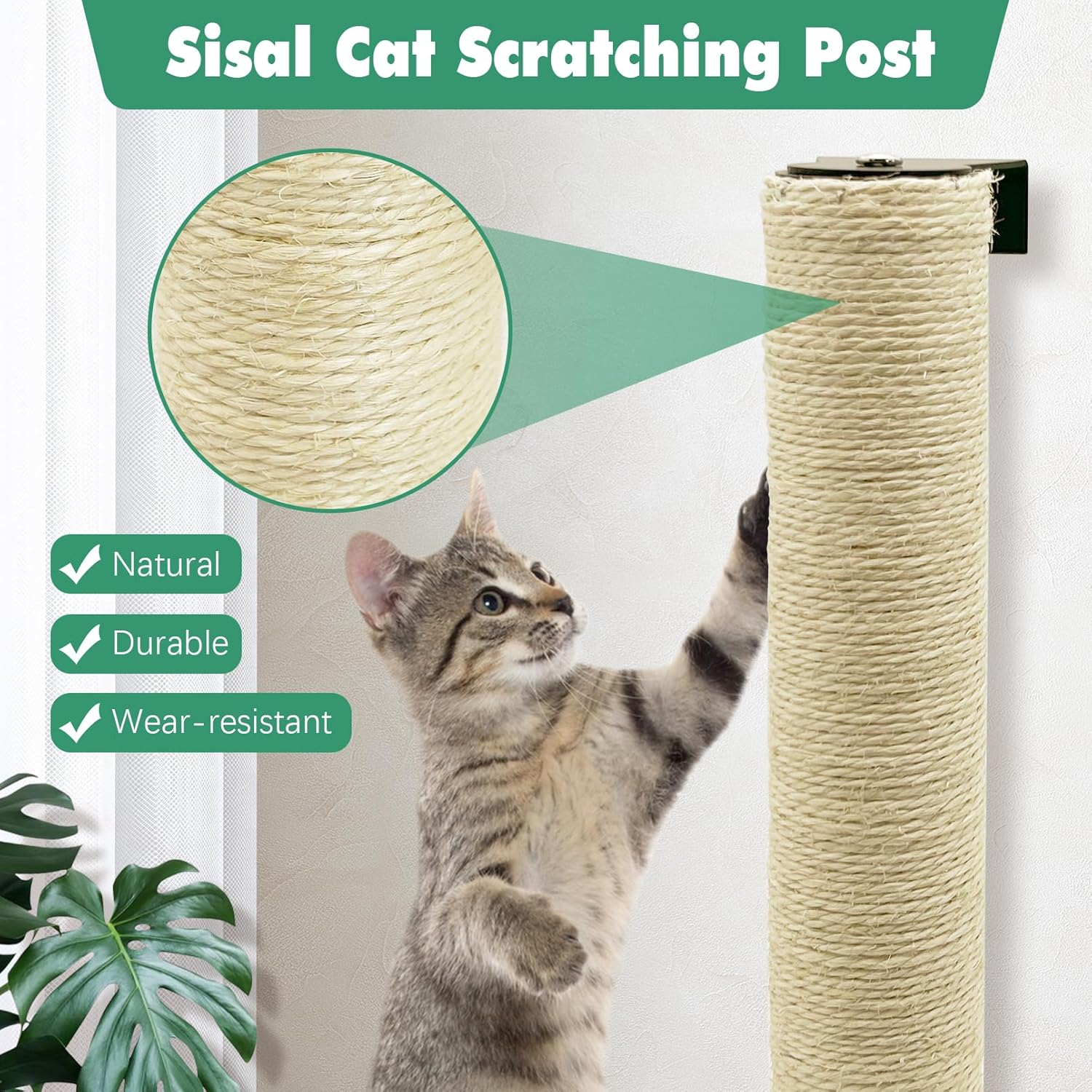 Apatal Wall Mounted Scratching Post for Cats 16 Inches Sisal Rope Cat Wall Scratcher Posts Wall Mount Cat Furniture for Indoor Kittty to Scratch and Climbing with Feather Toys image number 2