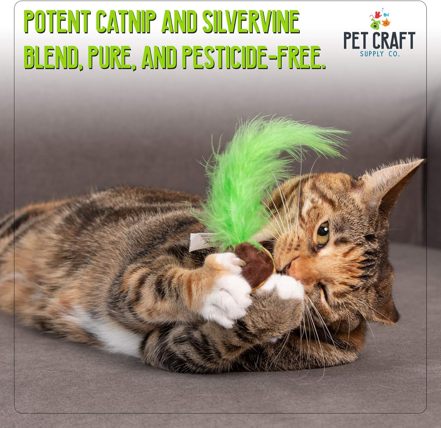 Pet Craft Supply Silly Snacks and Funny Food Crinkle Cuddling Catnip and Silvervine Interactive Cat Toys - Great for Indoor Cats, Kittens or Medium Breeds