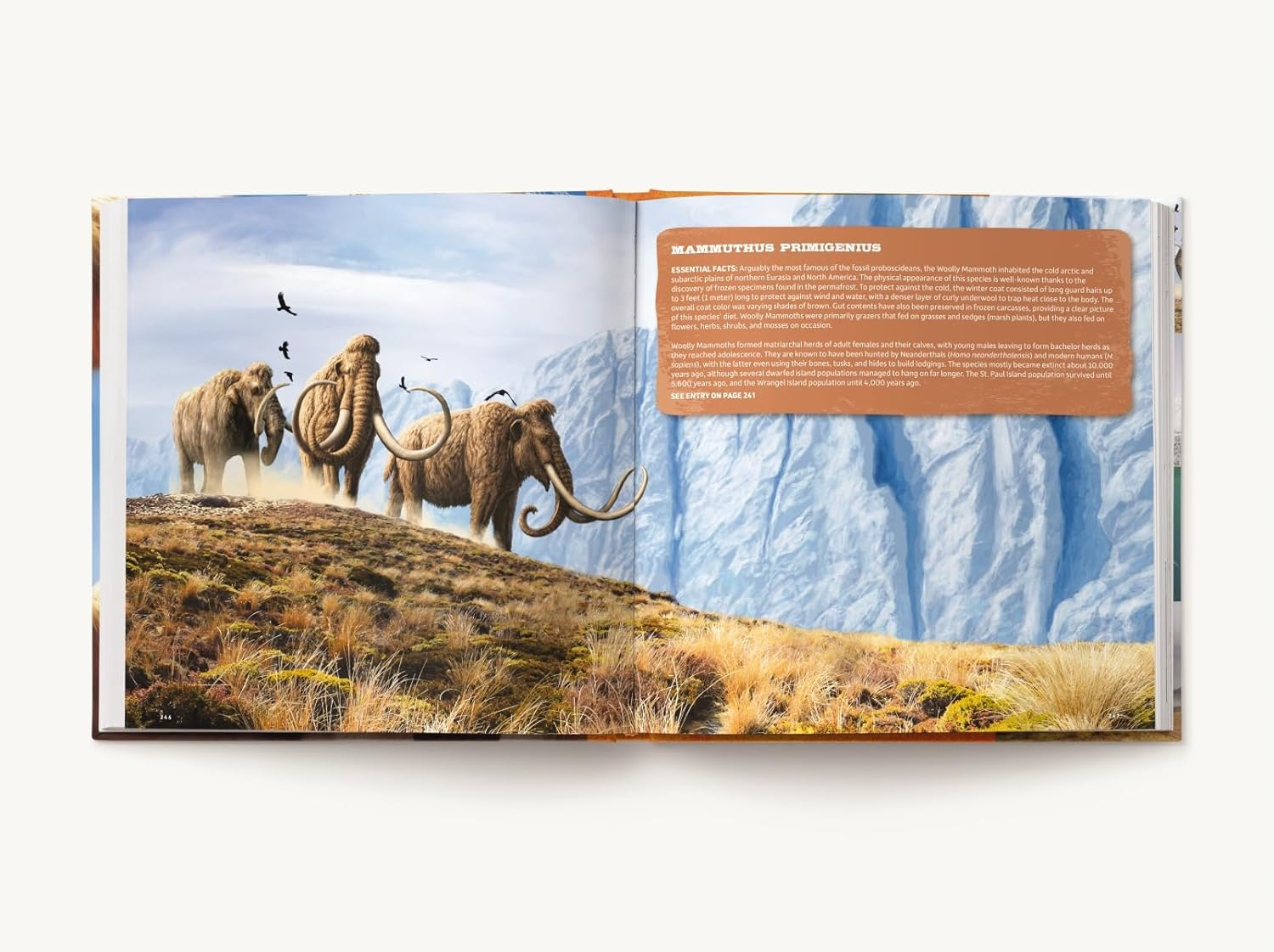 Prehistoric World: over 1,200 Incredible Mammals & Discoveries from the Mesozoic & Cenozoic image number 4