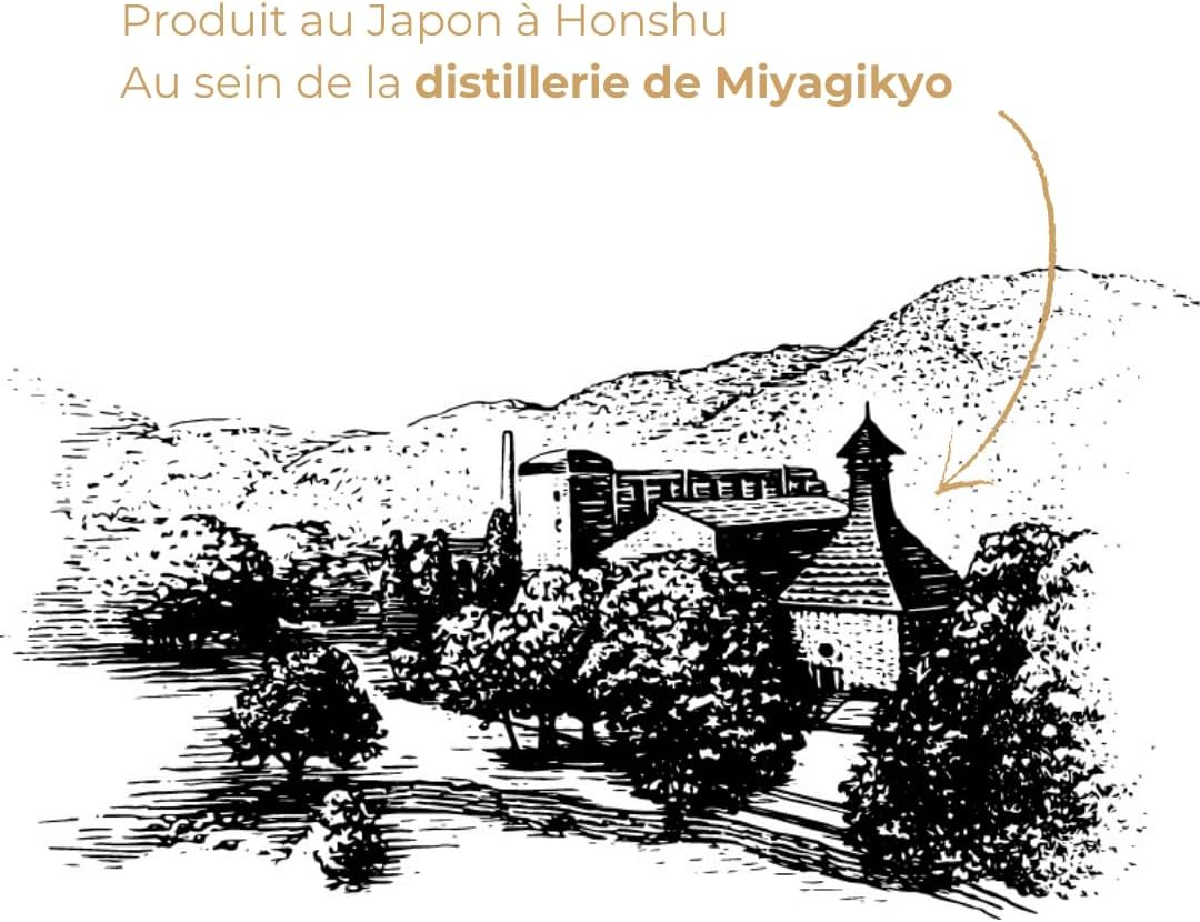 Nikka Coffey Malt 700Ml image number 6