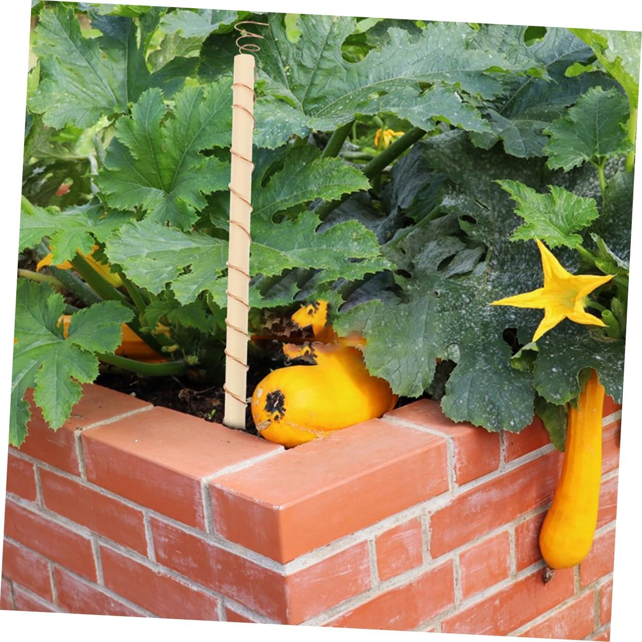 CIMAXIC Garden Antenna Wire for Planting Electroculture Stakes 9Pcs Pure Wire Stake Gardening Tools Set Easy Assembly for Gardening image number 5