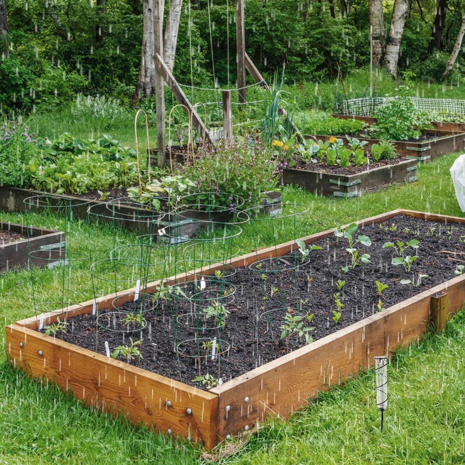 Outdoor Rain Gauge Iron and Glass Rain Measure Device with Clear Scale Decorative Garden Stake for Accurate Rainfall Measurement Weather Monitoring Tool for Lawn and Patio image number 3