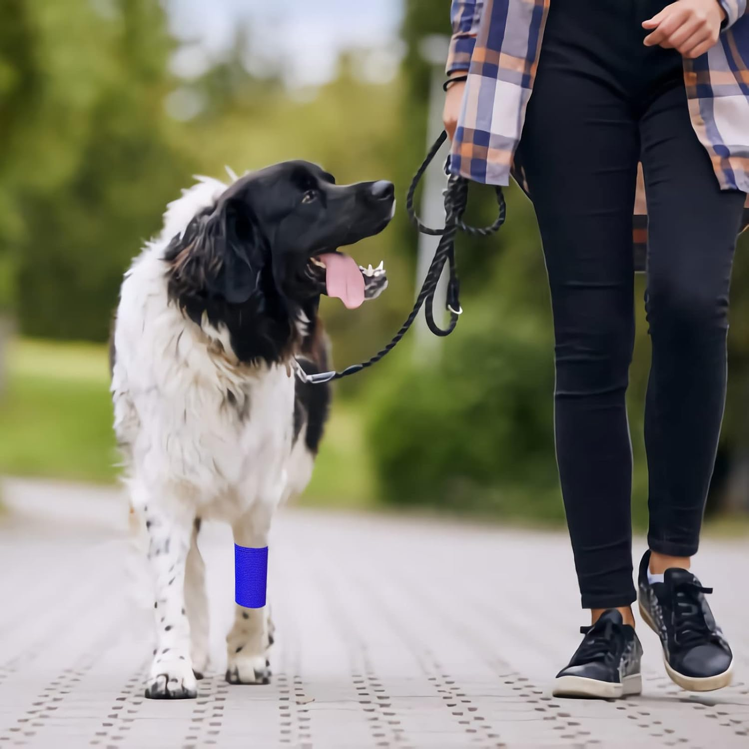 6 Rolls Cohesive Bandage, Self Adhesive Bandage Tape 10Cm X 4.5M Vet Wrap for Horses, Self Adherent Vet Wrap & Pet Wrap, Dog Bandages, Football Sock Wrap & Shin Guard Tape for Wrist & Ankle (Blue) image number 1