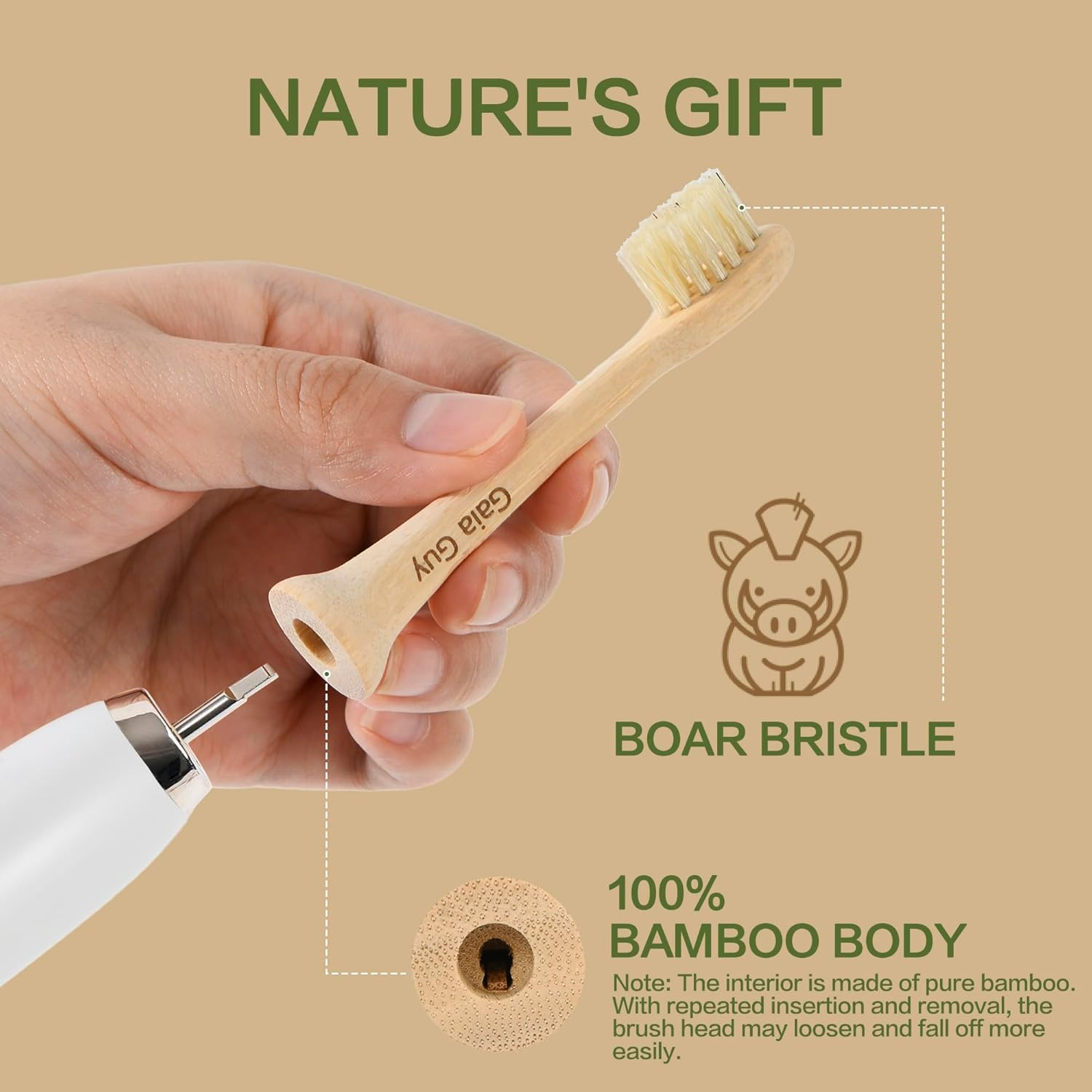 Gaia Guy Bamboo & Boar Bristle Electric Toothbrush Replacement Heads (4-Pack) - Uncoated Bamboo image number 3