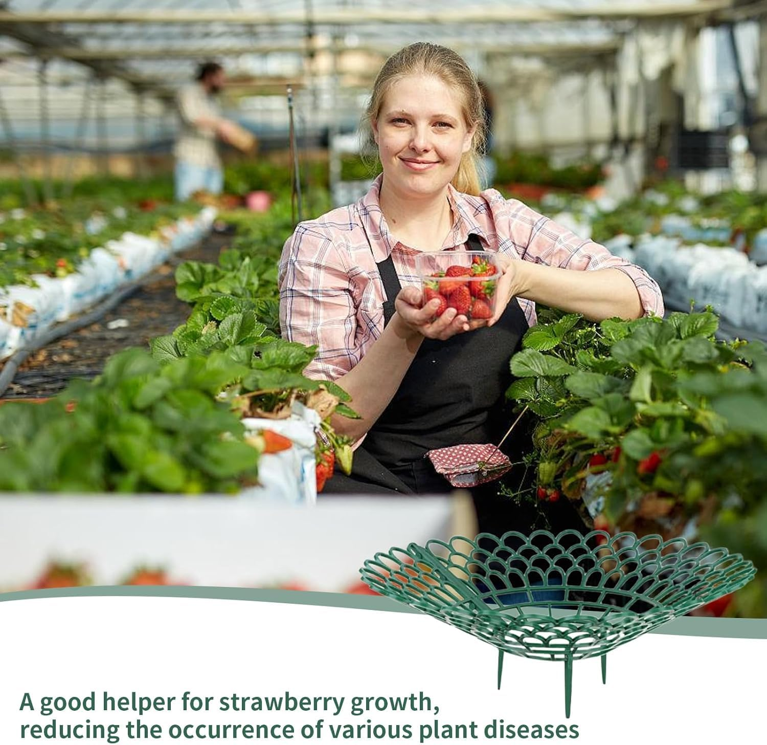 6Pack Strawberry Supports Petal-Shaped Strawberry Stand Plastic Fruits Growing Rack Balcony Vegetable Rack Planting Garden Accessories with 3 Sturdy Legs for Vegetable Garden Orchard image number 4