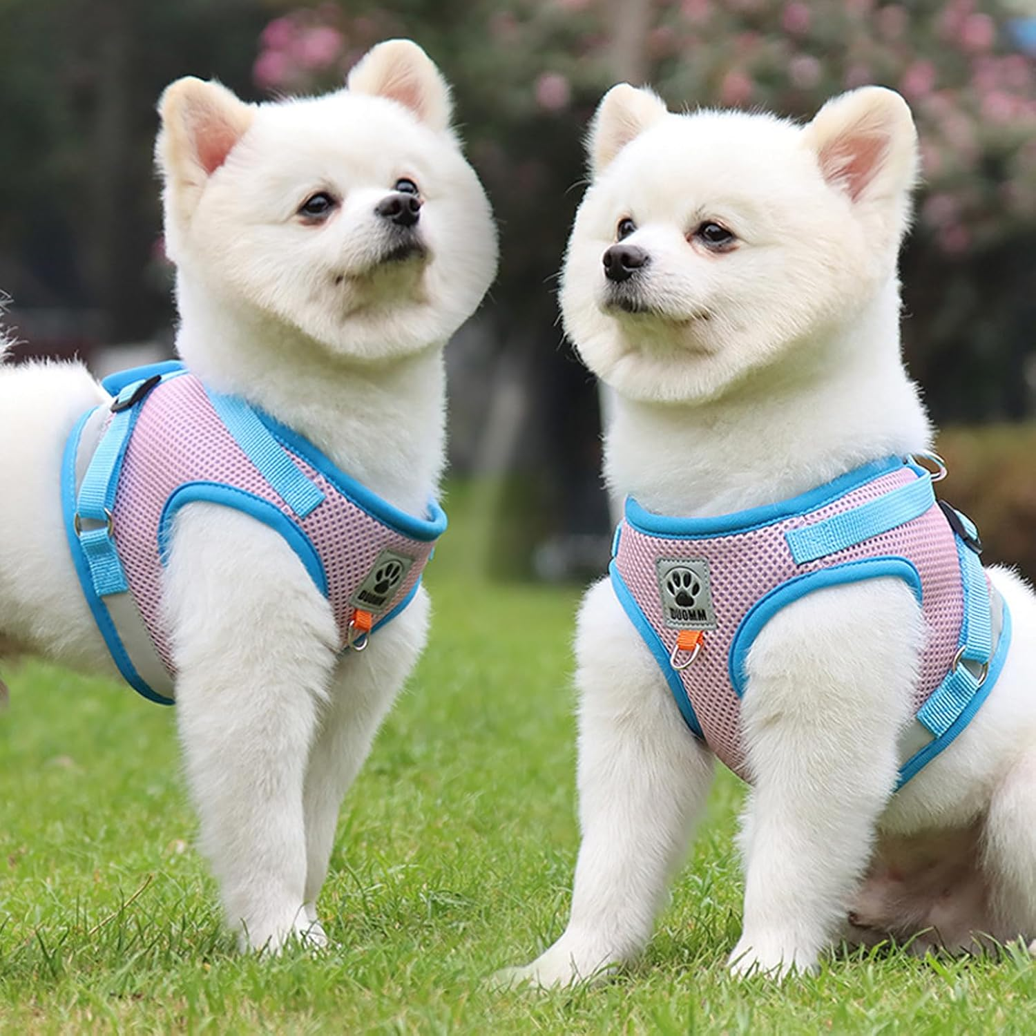 TYXHXTF Cat Harness and Lead Set, Soft Mesh Harness for Cats, Escape Proof Cat Kitten Walking Vest, Adjustable Reflective Strips Vest Harnesses with Collar, for Small Cats Pets(S Pink) image number 2