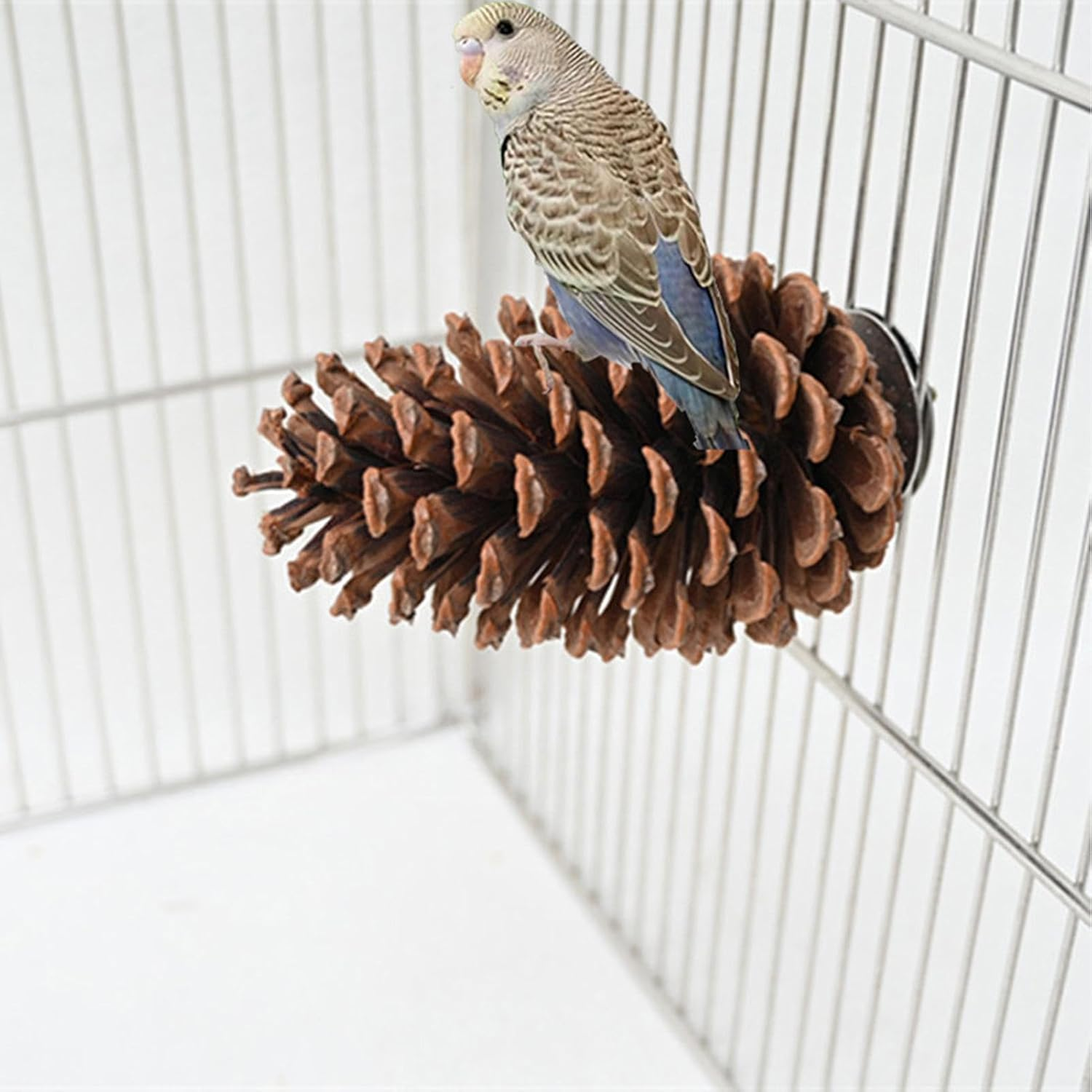 Natural Pinecone Bird,Parrot Stand - Bird Perch, Pinecone, Bird Cage Accessories, Parrot Chew Toys, Paw Grinding Stick, Bird Toys for Parakeets, Bird Perches for Finch, Parakeet Arch-Au image number 4