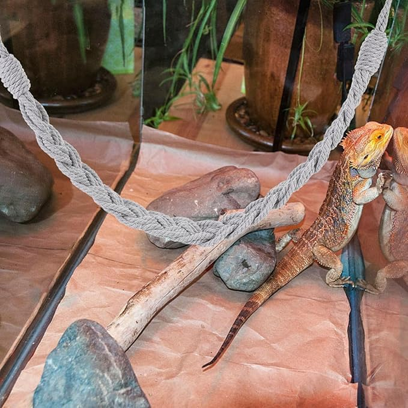 2Pcs Hermit Crab Climbing Rope,Hermit Crab Climbing Jute Rope,Hermit Crab Jute Rope with Suction Cup Hooks,Hermit Crab Rope Hermit Crab Climbing Jute Rope with Hooks,Hermit Crab Climb Rope with Hooks