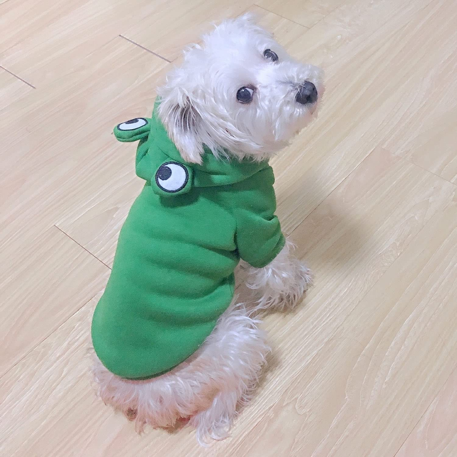 Pet Clothes, Dogs Hooded Sweatshirt Fruit Warm Coat Sweater Cold Weather Costume for Puppy Small Medium Large Dog (XXL, Green Frog)