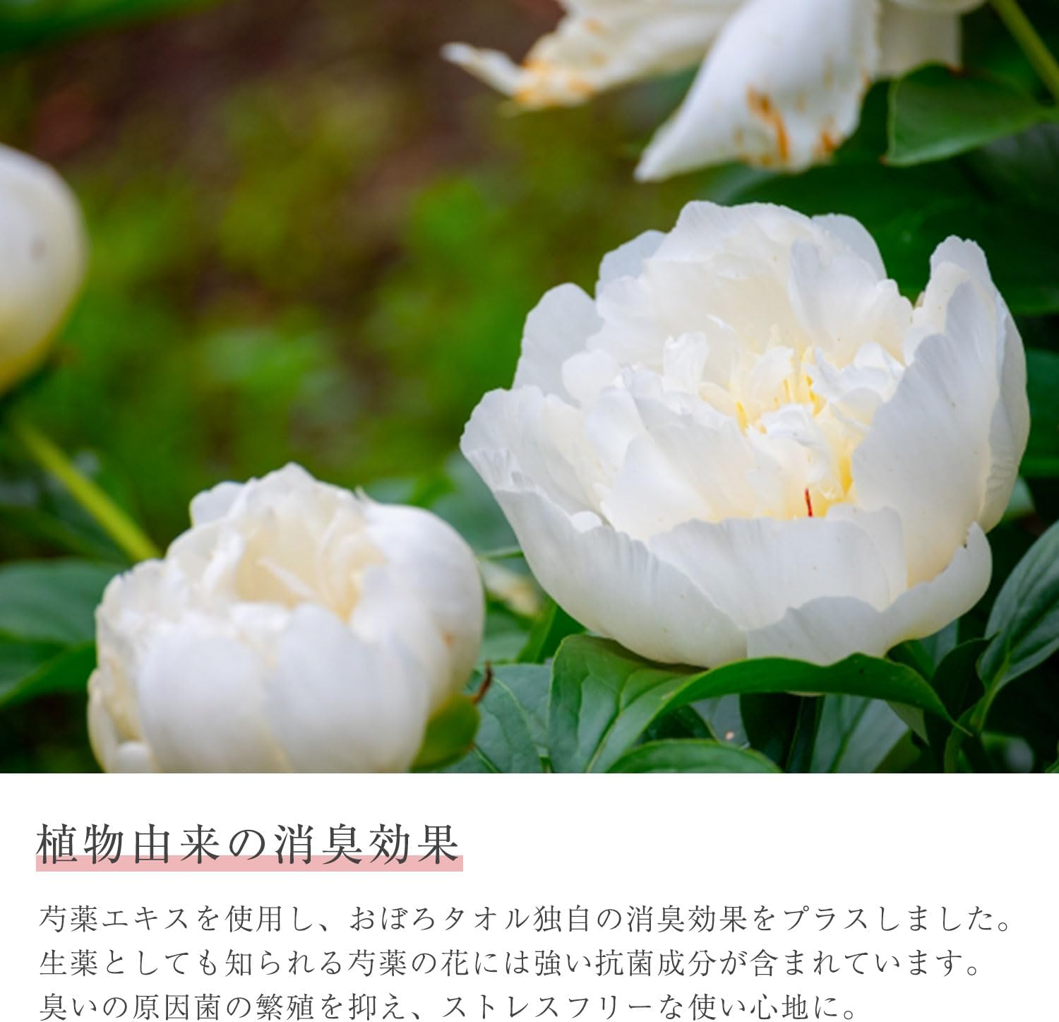 Oboro Towel, Exclusive Hair Towel, Approx. 13.0 X 39.4 Inches (33 X 100 Cm), 100% Cotton, Face Towel, Hair Drying Towel, Green image number 6