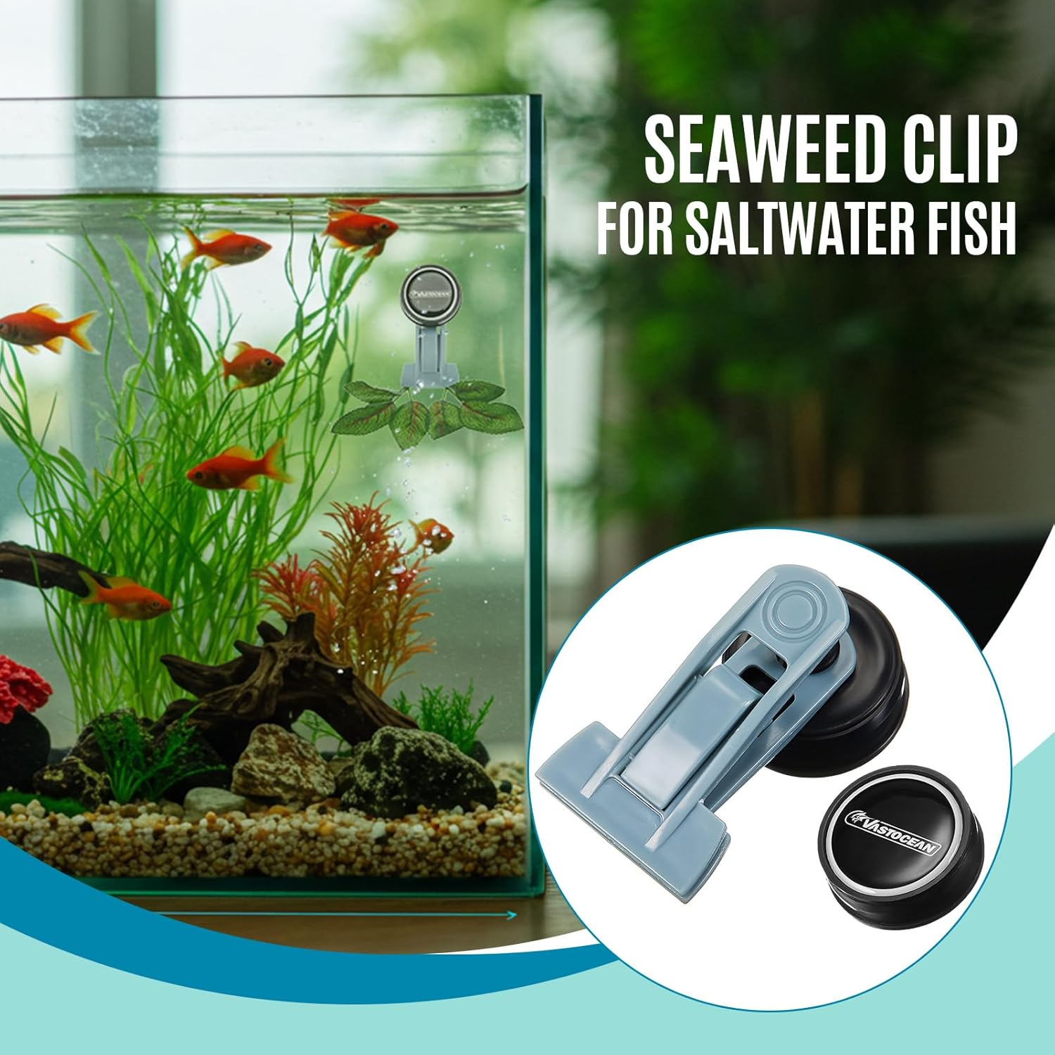 Blulu 4 Pcs Magnetic Seaweed Feeding Clips Saltwater Aquarium Tank Accessories Algae Magnet Seaweed Feeder for Fish and Aquatic Pets, Automatic Fish Feeder image number 1