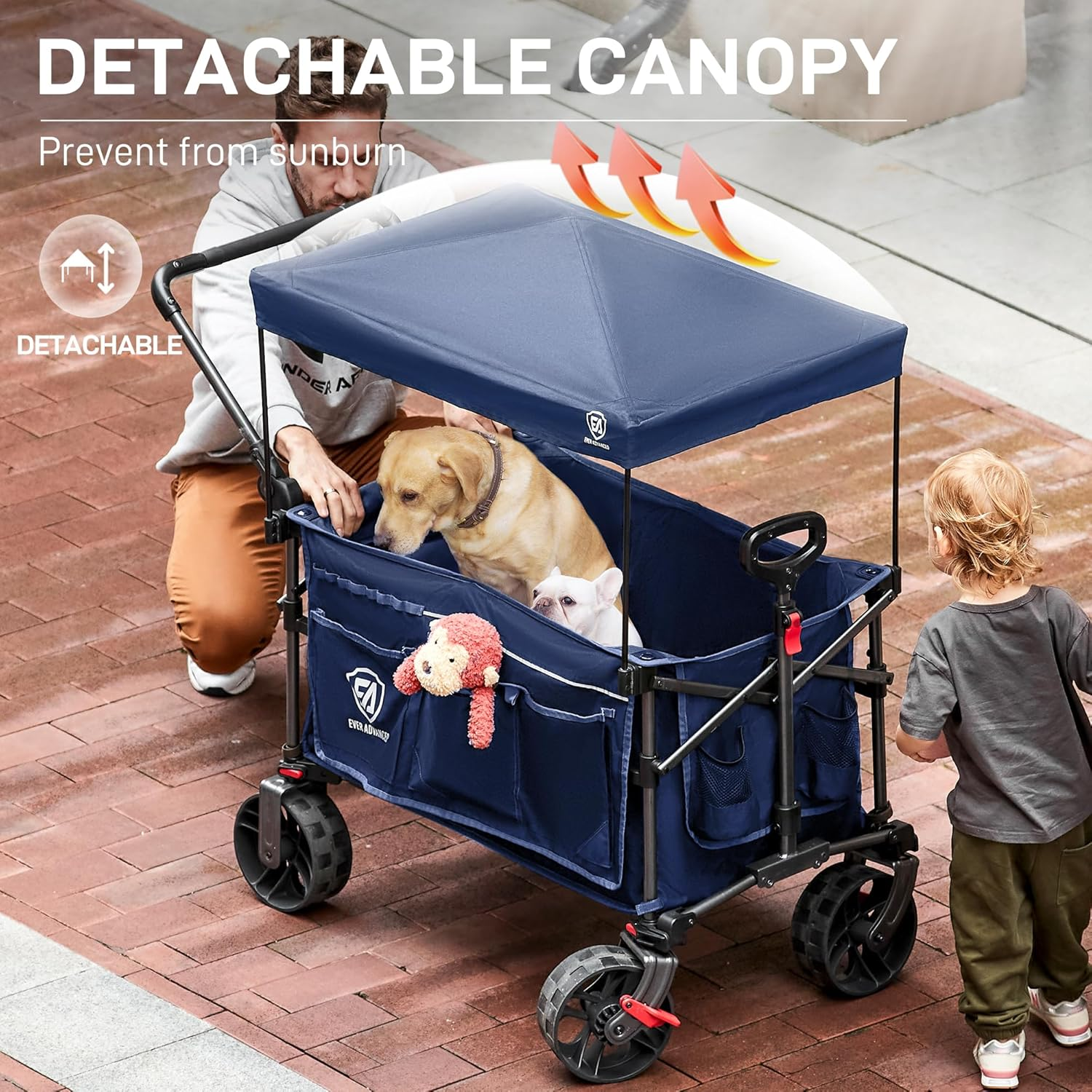 EVER ADVANCED Folding Wagon with Canopy Blue image number 2