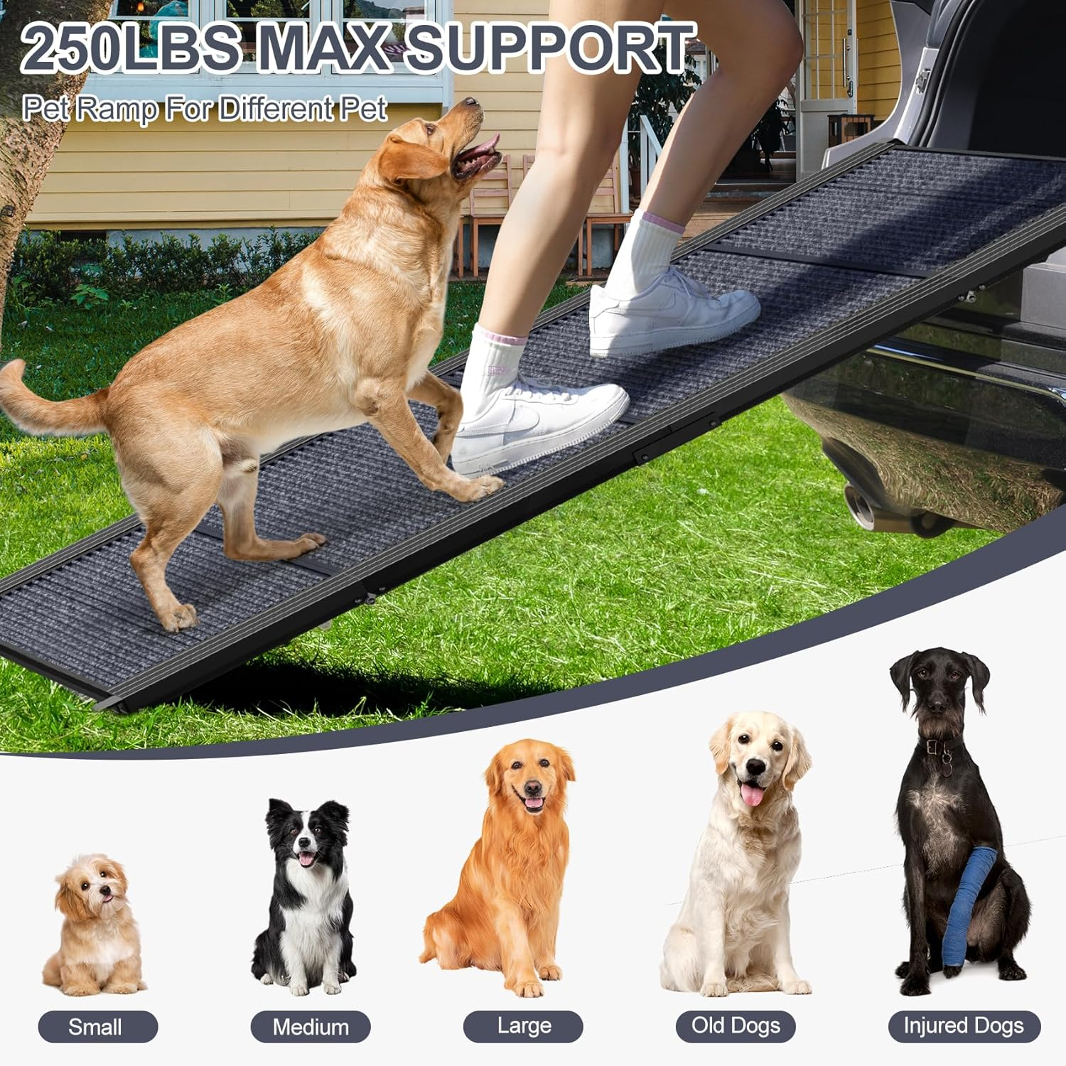 Dog Ramp for Car, 63" Long & 17" Wide Folding Portable Pet Stair Ramp with Non-Slip Rug Surface, Extra Wide Dog Steps for Medium & Large Dogs up to 250LBS Enter a Car, SUV & Truck image number 1