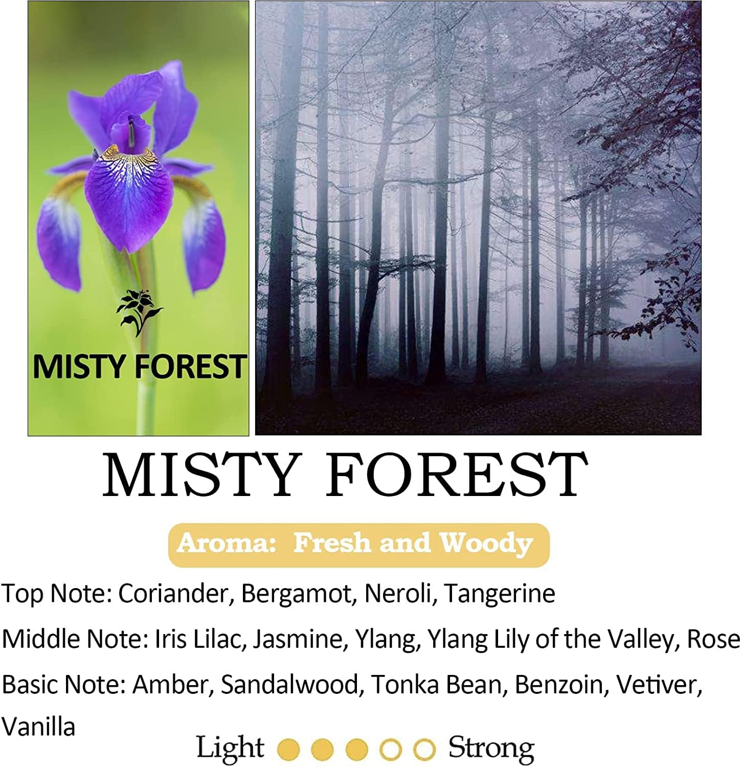 KAPASKI Scented Candles, Highly Scented, Natural Wax, 40 Hours Long Burning, Aromatherapy Candles, 200G/7 Oz with Aesthetic Amber Glass, Clean Delicate Fruity Scent for Calming & Stress Relief(Misty Forest) image number 6