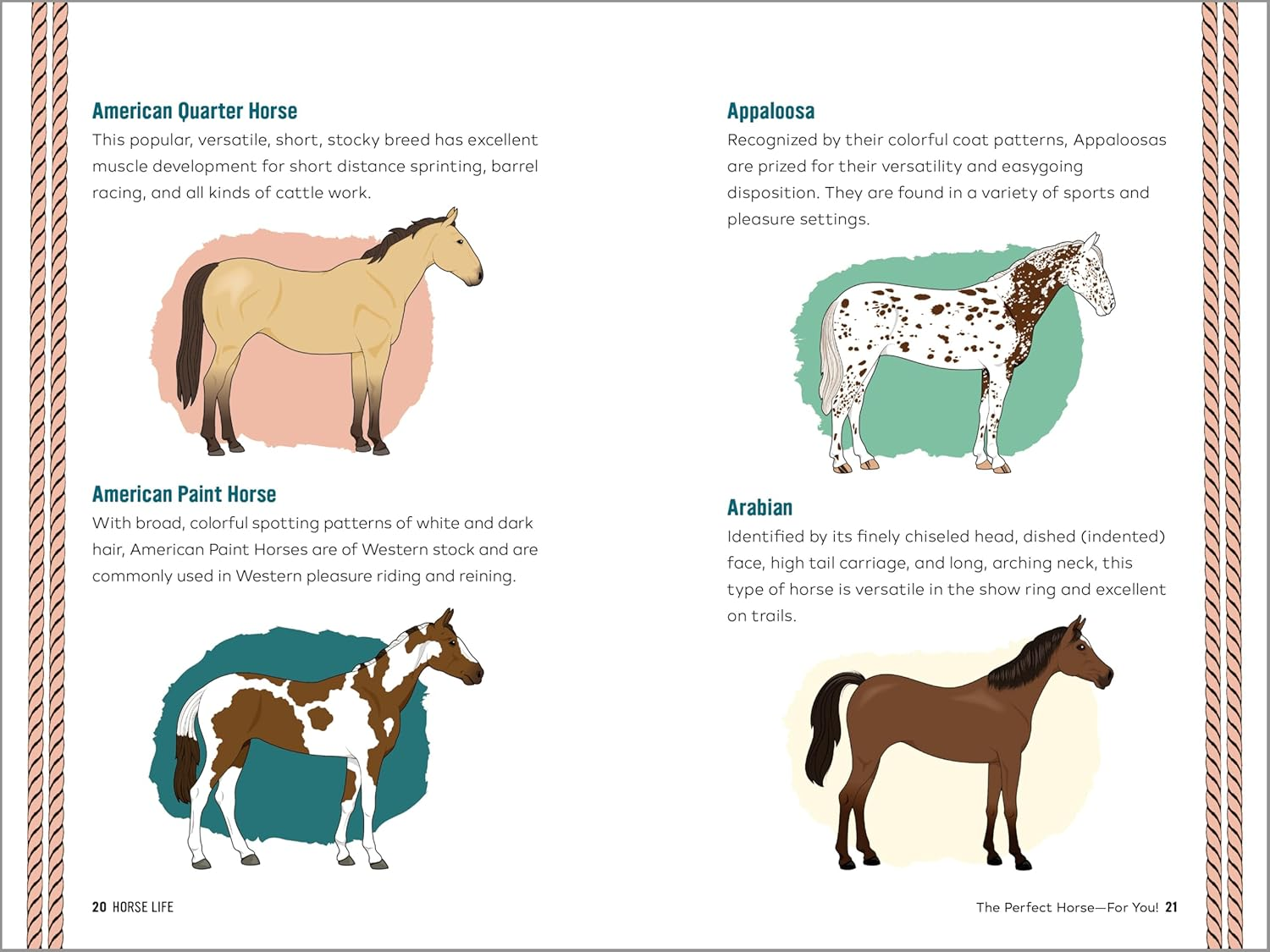 Horse Life: the Ultimate Guide to Caring for and Riding Horses for Kids