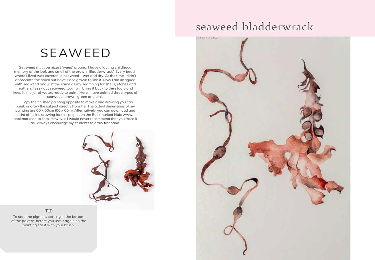 Watercolour Seashore image number 1